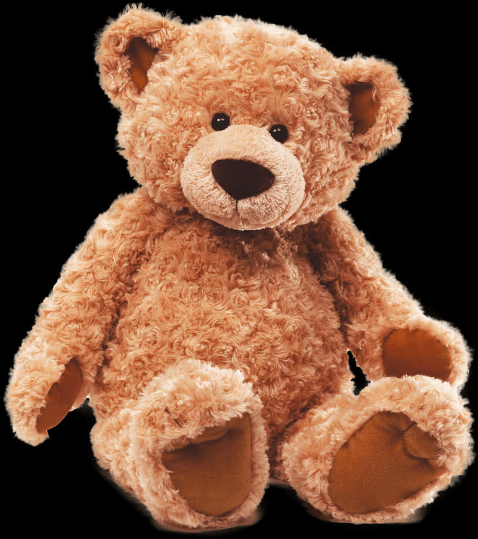 Plush Teddy Bear Isolated PNG