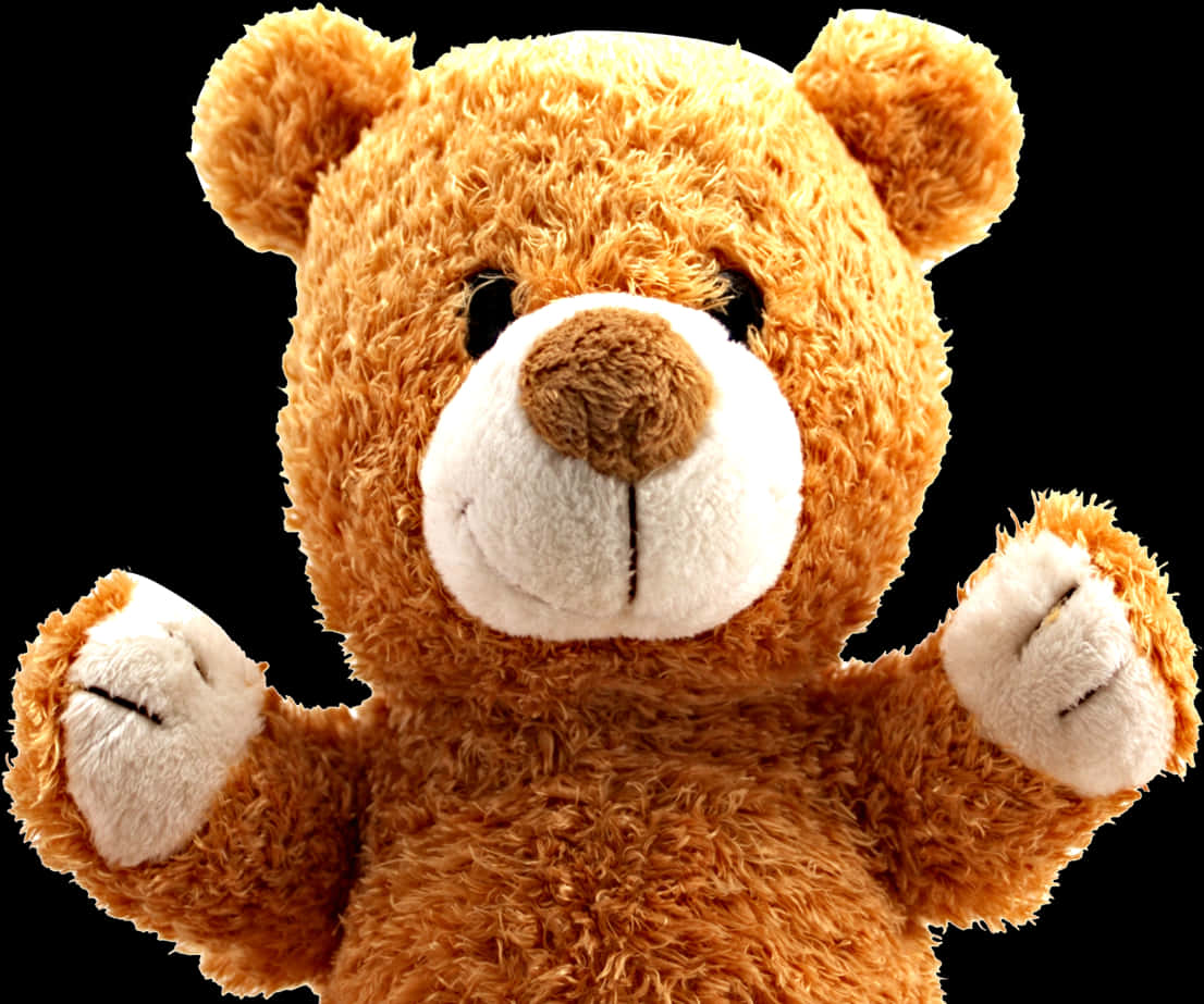 Plush Teddy Bear Portrait PNG