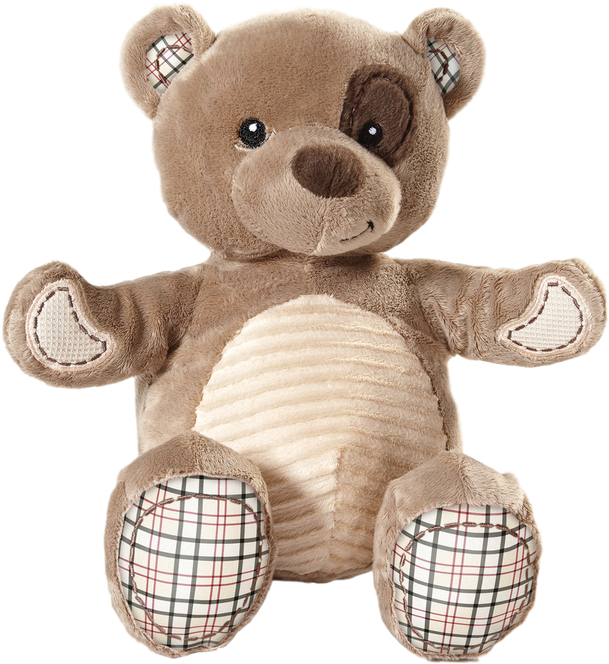 Plush Teddy Bear Toy.png PNG