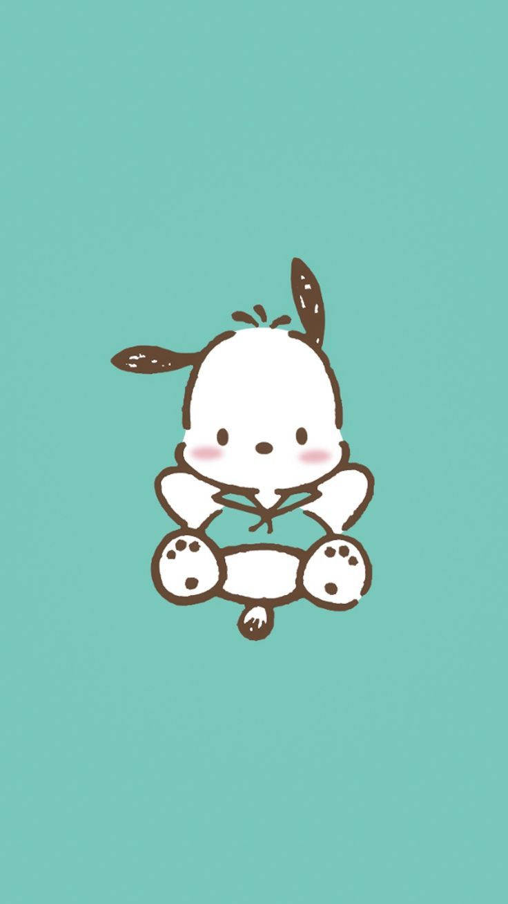 Pochacco In Turquoise Shirt Wallpaper
