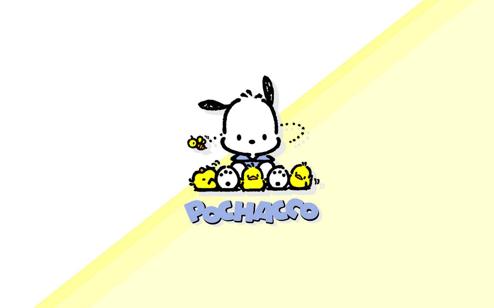 Pochacco In Two-Toned Poster Wallpaper