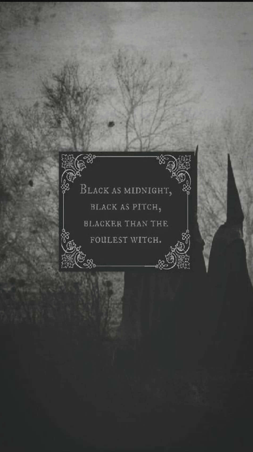 Black As Midnight Black Witch Black Witch Black Witch Wallpaper