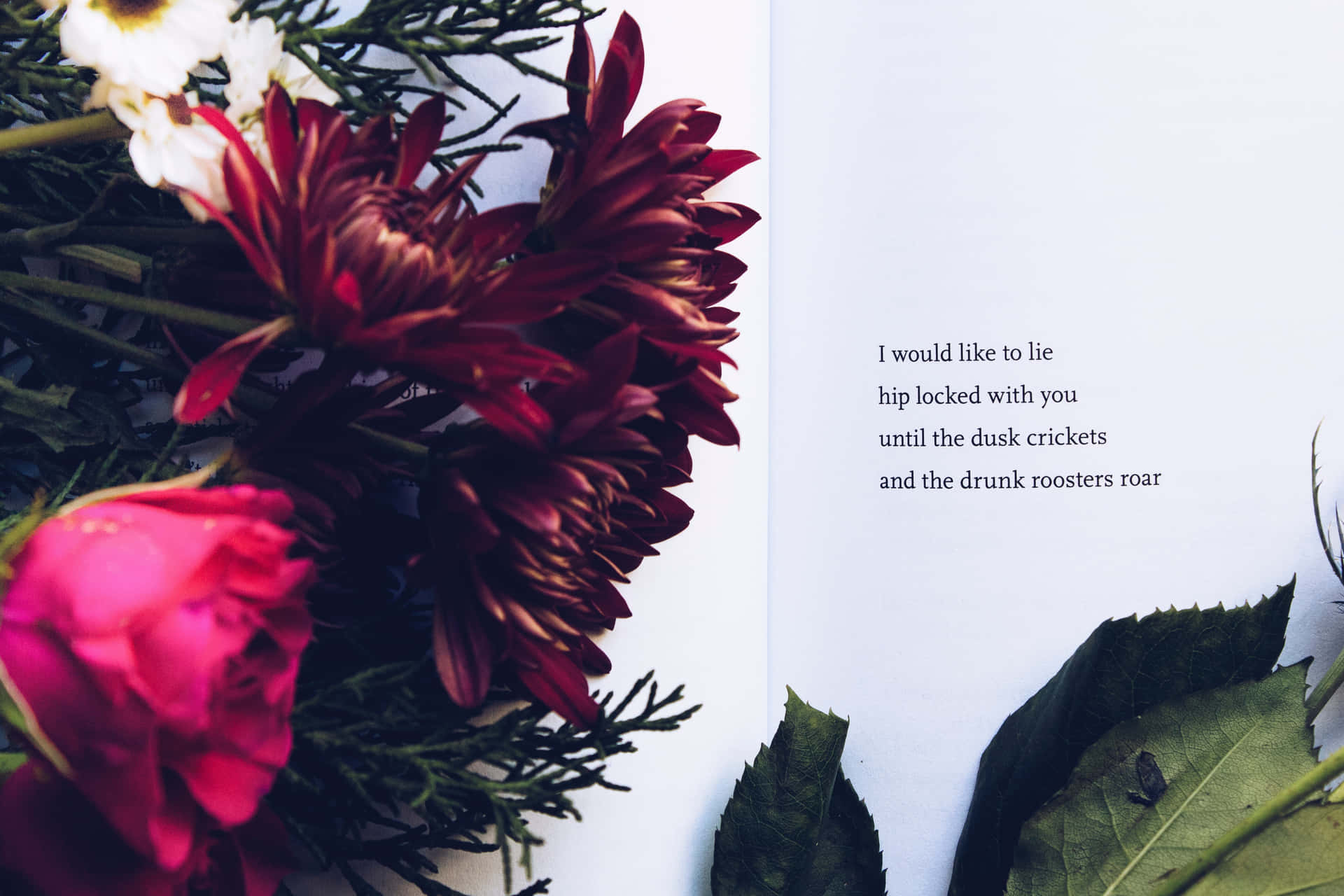Et bog med blomster og en citat på det. Wallpaper