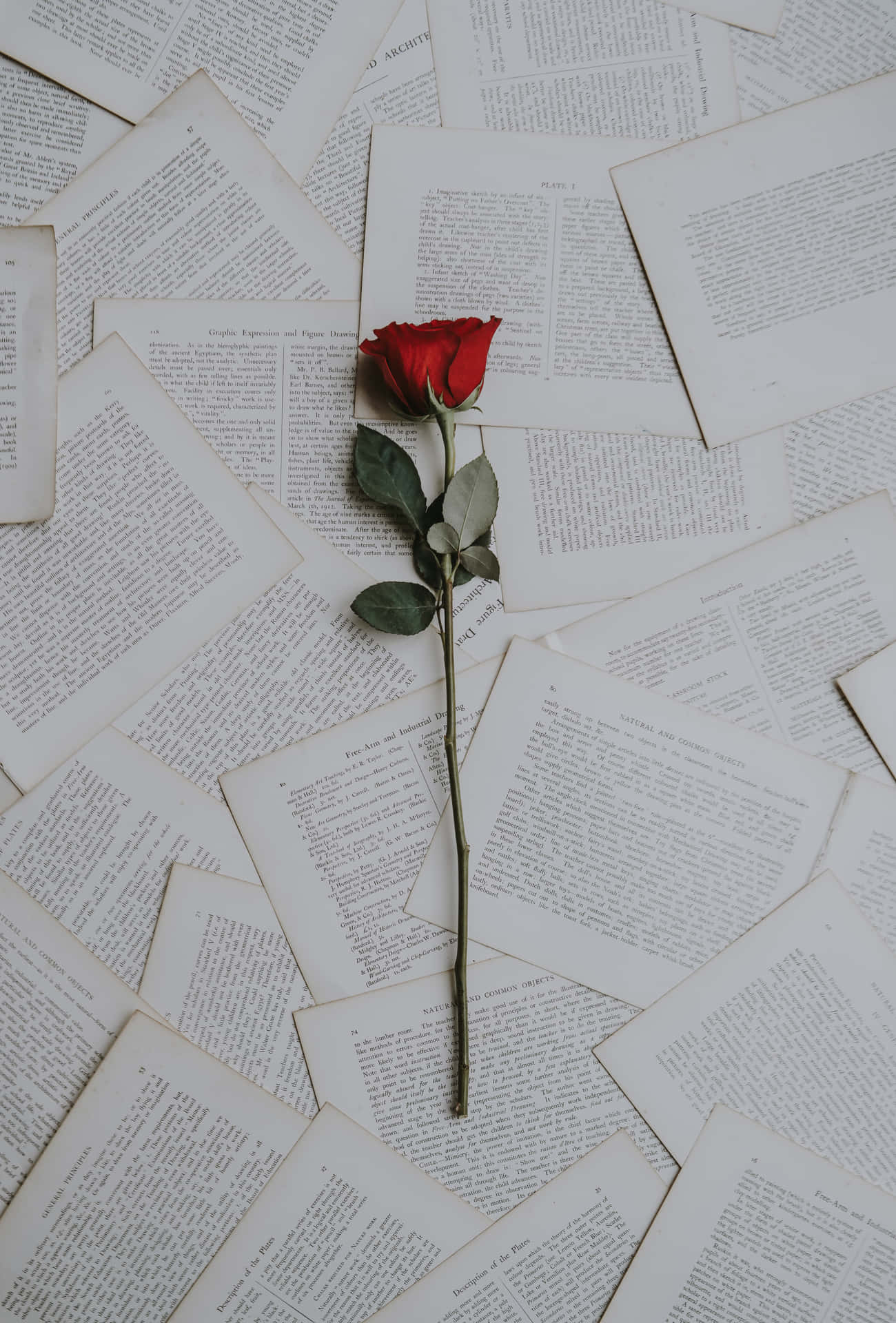 Pages Of Poems With Rose Wallpaper