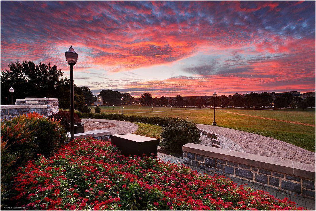 Poinsettia Virginia Tech Sunset Wallpaper