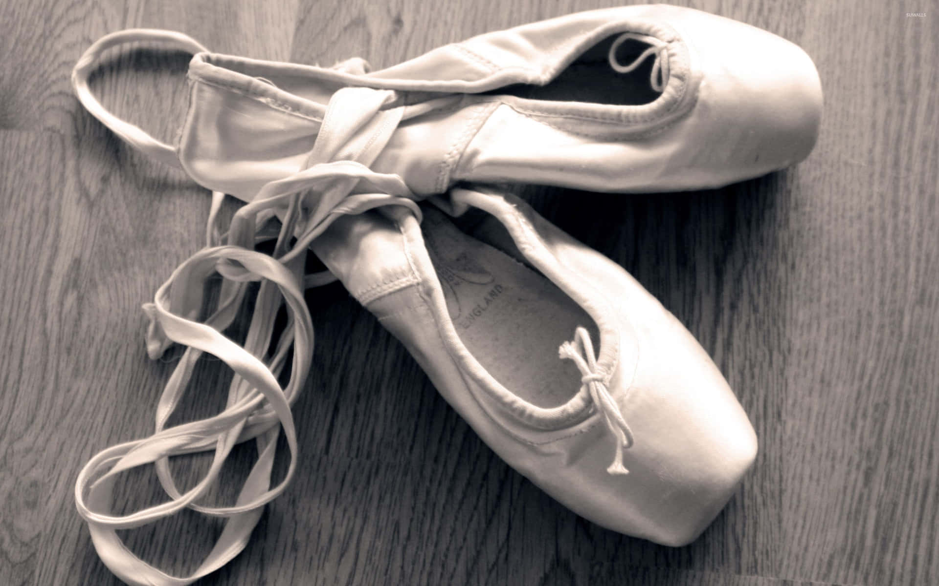 Cintaselásticas Para Zapatillas De Ballet Fondo de pantalla