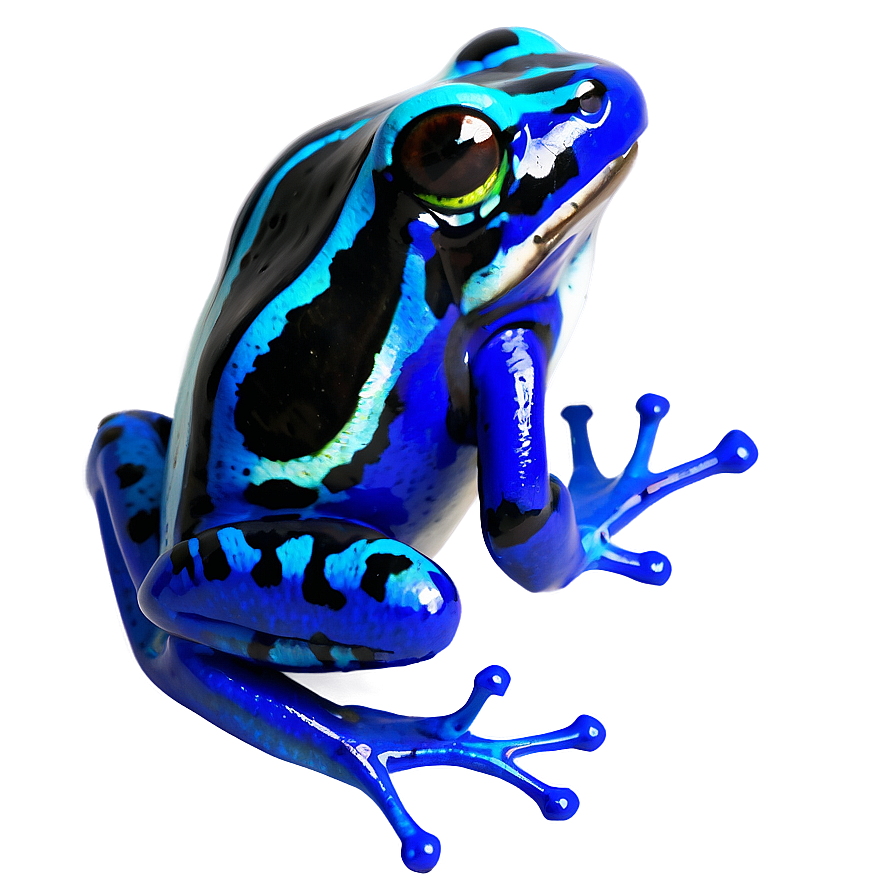 Poison Dart Frog Png Fuu PNG