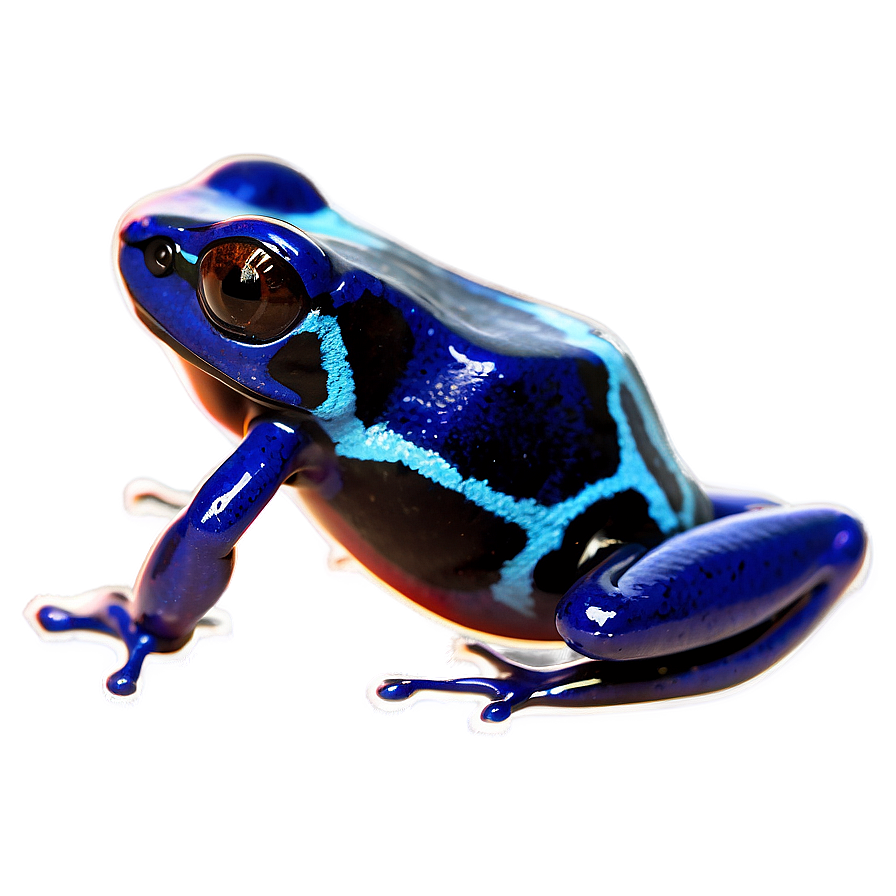 Poison Dart Frog Survival Strategy Png 06132024 PNG