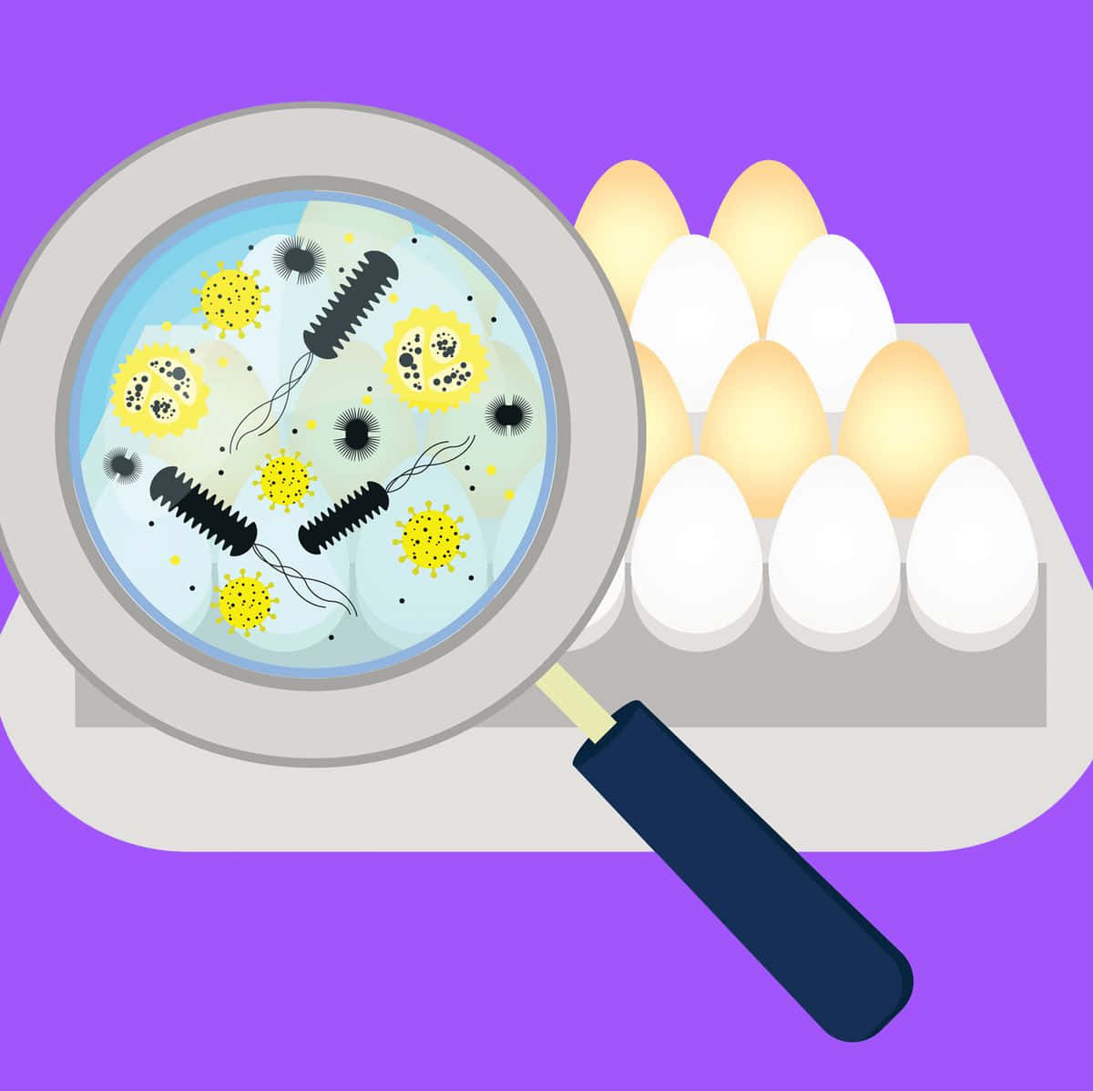A Magnifying Glass With A Magnifying Glass And Eggs