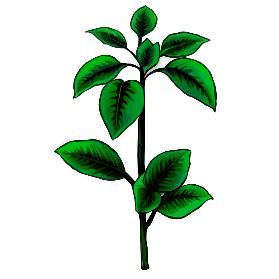 Poisonous Plant Png Jtf44 PNG