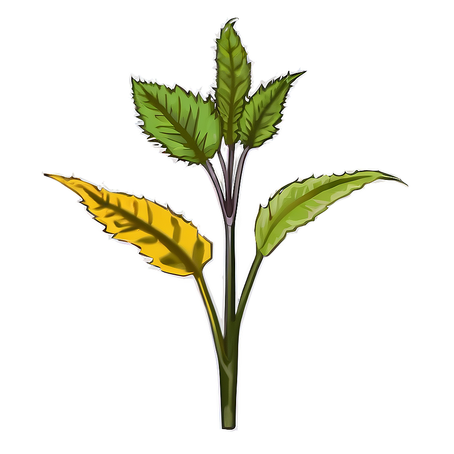 Poisonous Plants Png Awn PNG