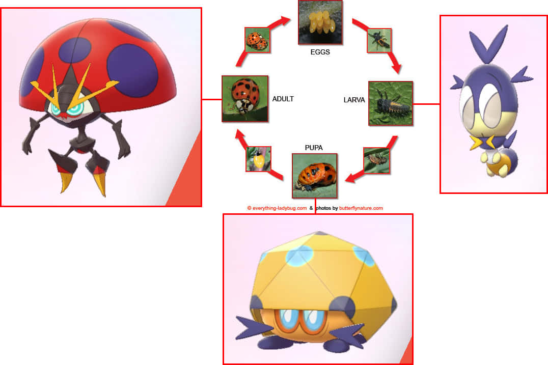 Pokémon Blipbug Bug Cycle Wallpaper