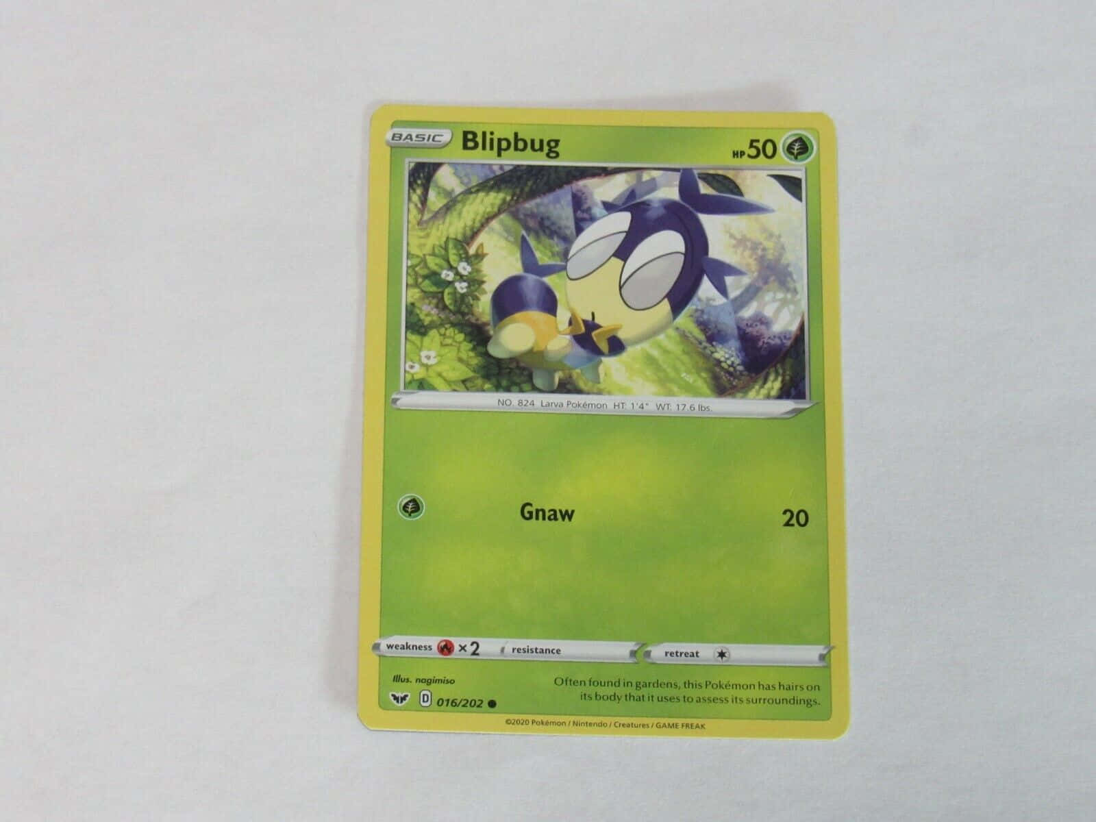 Pokémon Blipbug Game Card Wallpaper