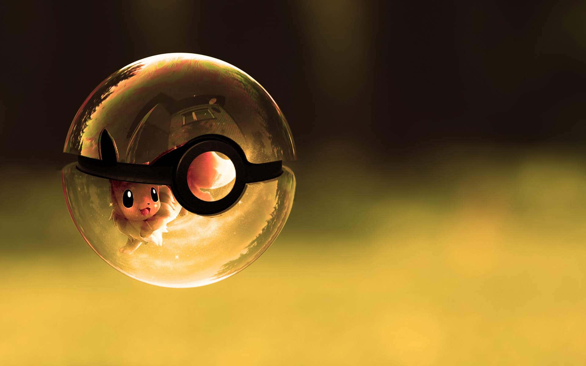Pokémoneevee Dentro De Una Bola Transparente. Fondo de pantalla