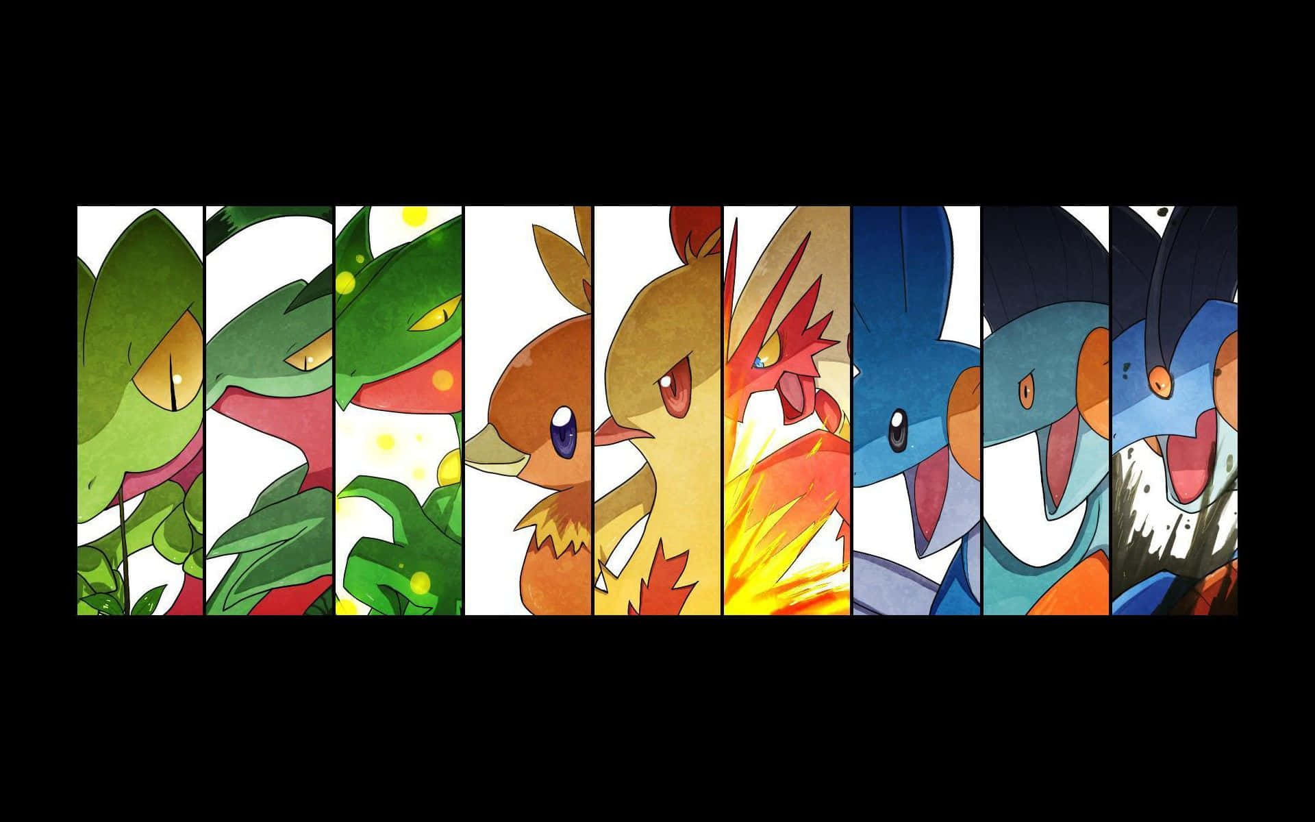 "The different forms of Pokémon we witness through their amazing evolution" Wallpaper
