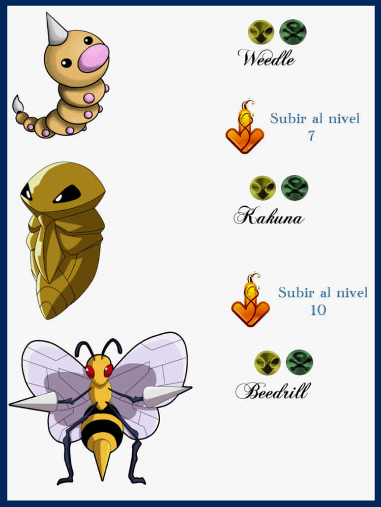 Pokemon Evolution Chart Weedle Kakuna Beedrill Wallpaper