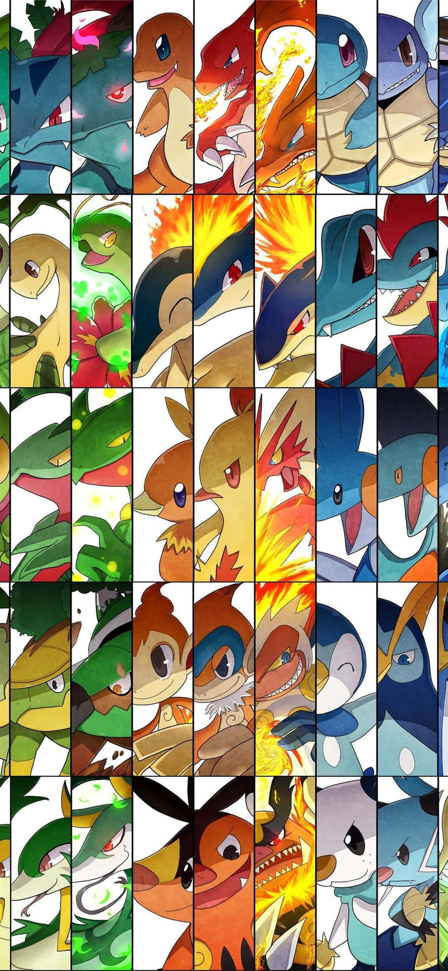 Pokemon Evolution Collage Featuring Meganium Wallpaper
