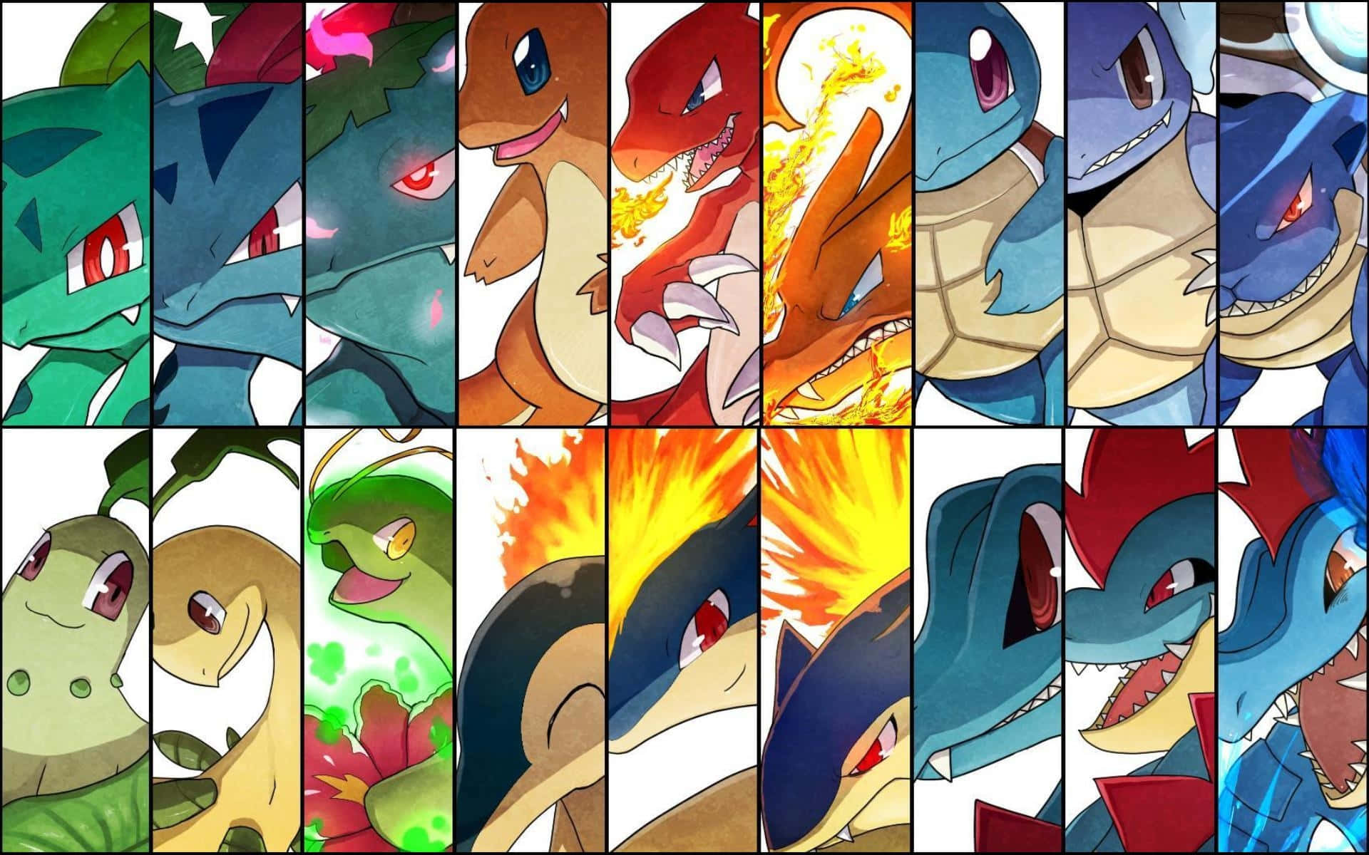 Pokemon Evolution Collage With Meganium Wallpaper