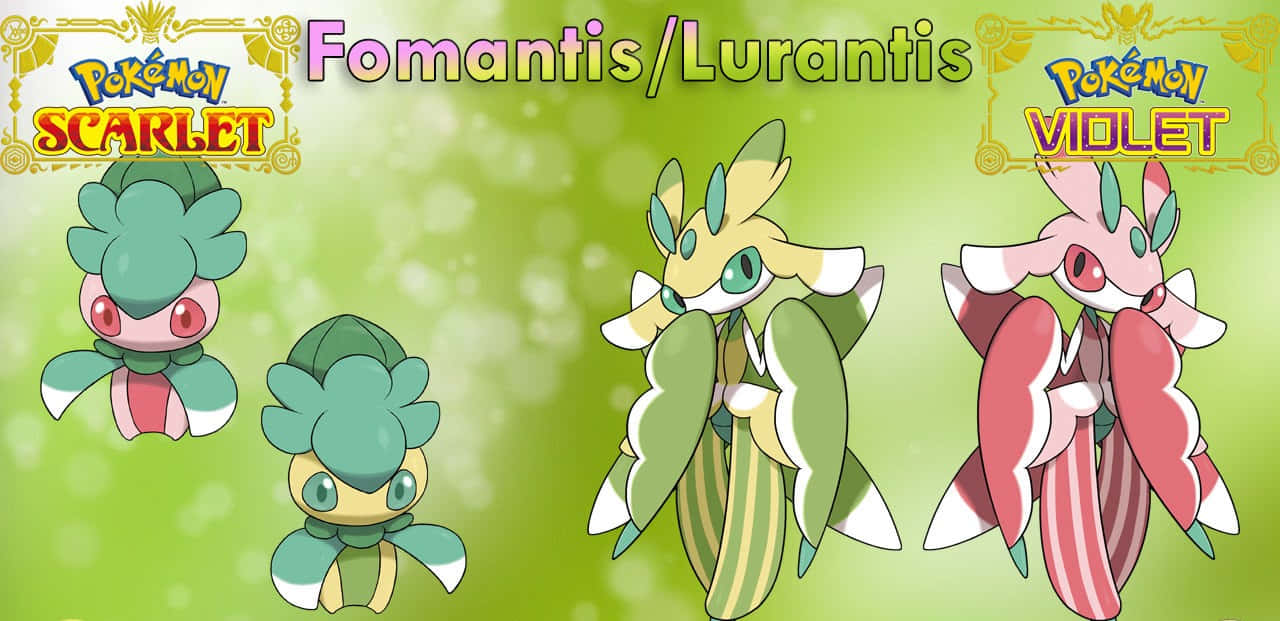 Pokémon Fomantis And Lurantis Wallpaper