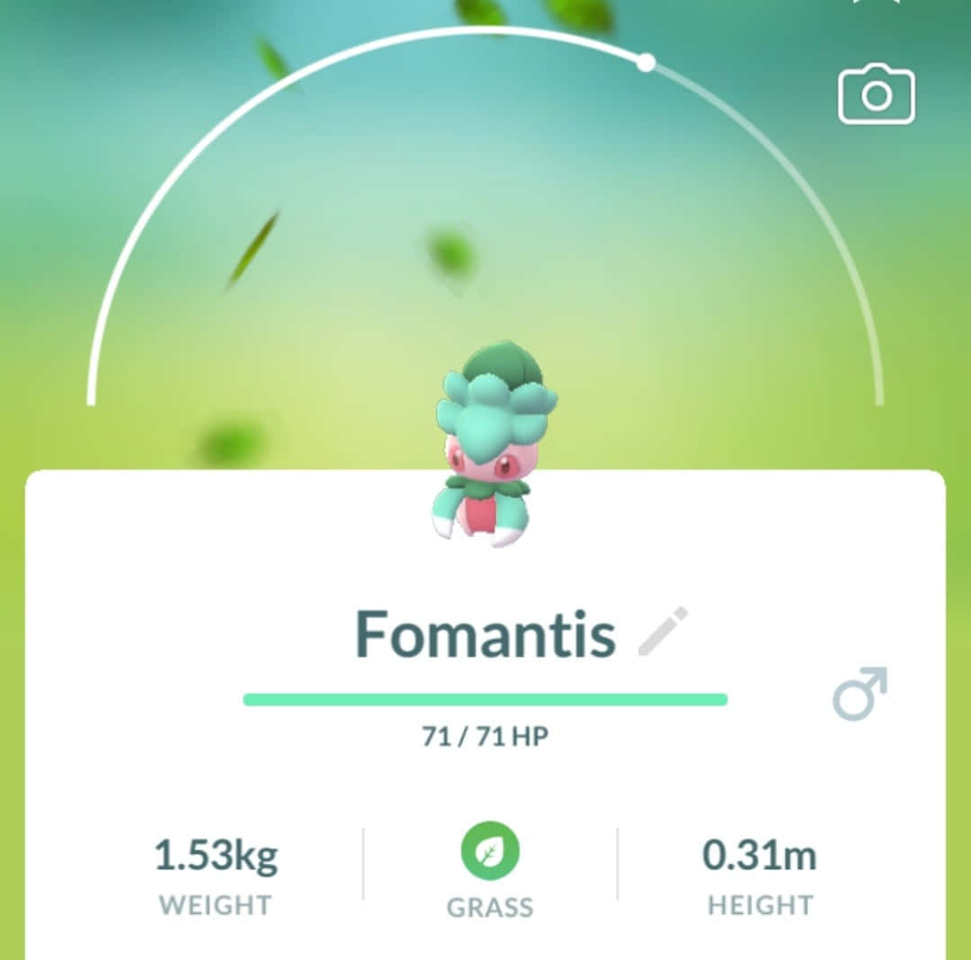Pokémon Fomantis Game Profile Wallpaper