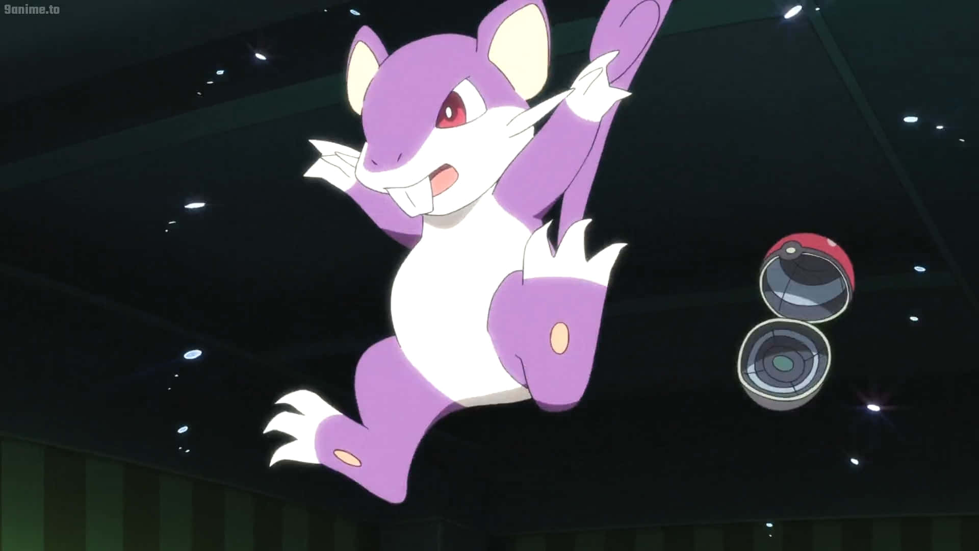 Pokemon Rattata Falling From The Top In Black Background. Wallpaper