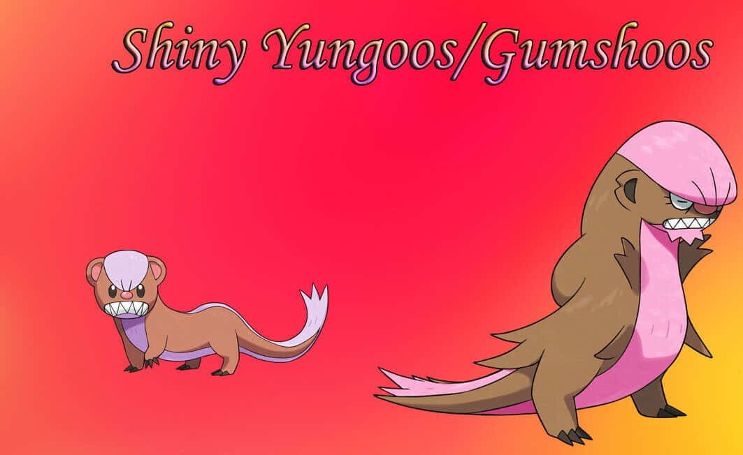 Pokémon Shiny Yungoos Wallpaper