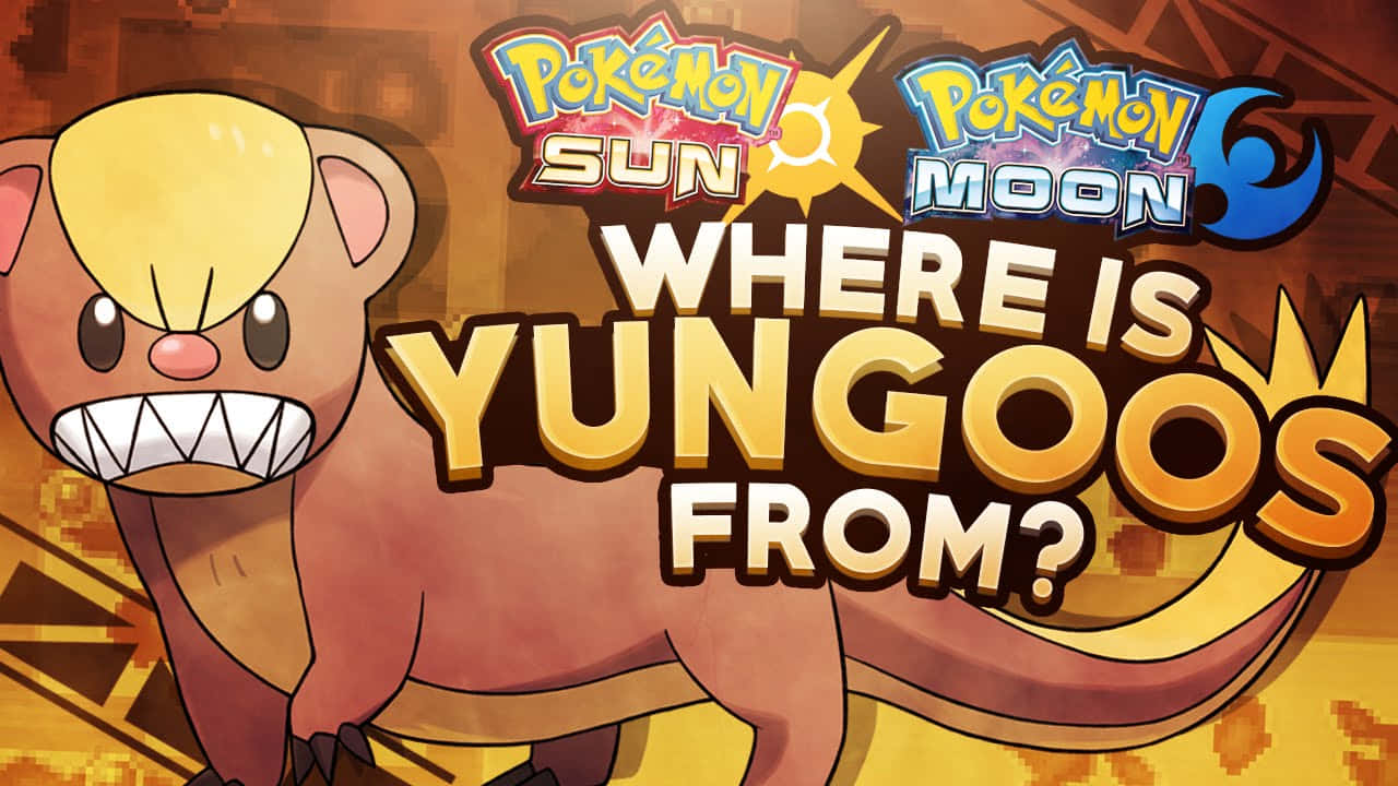 Pokémon Sun And Moon Yungoos Wallpaper