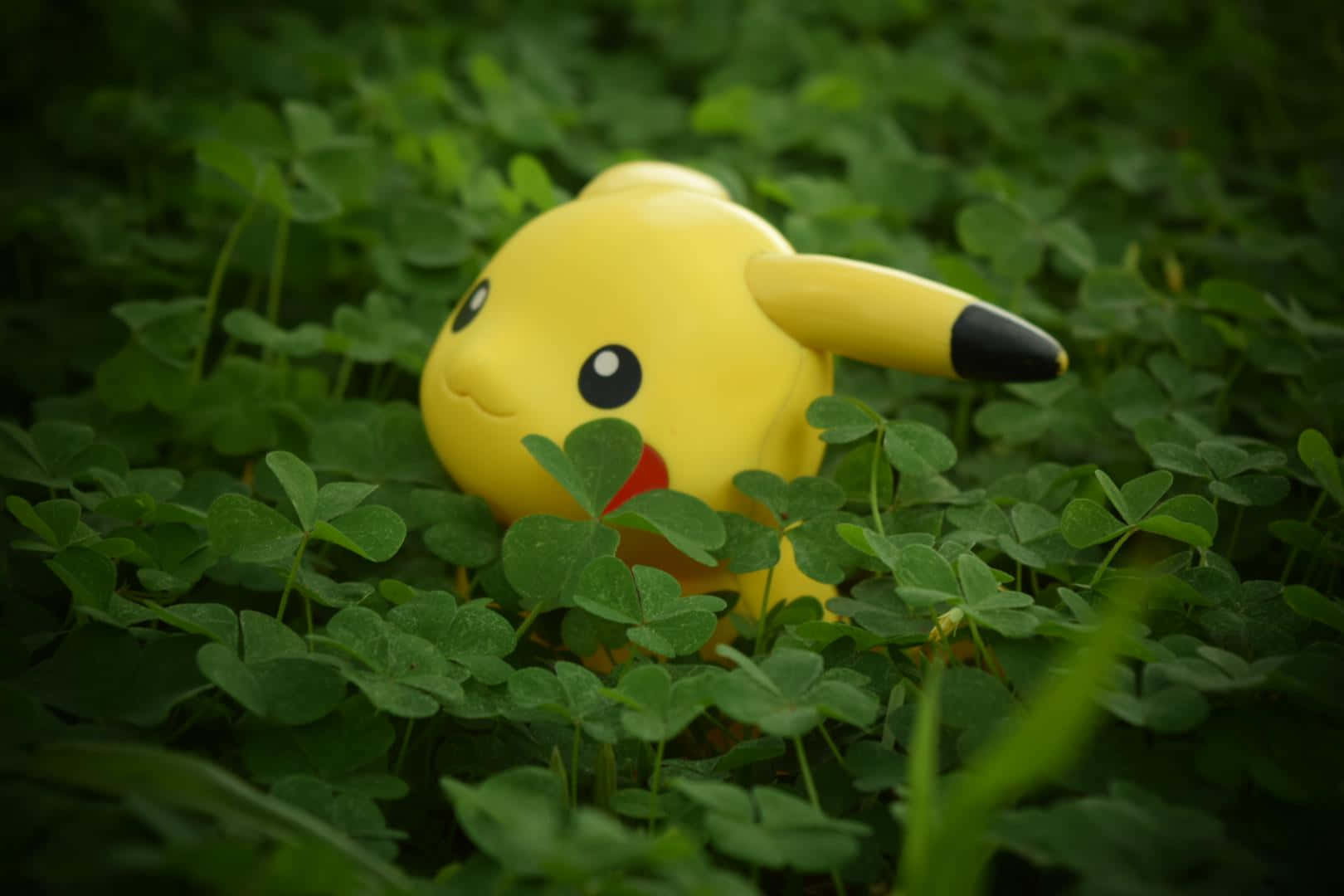 Exciting Collection of Pokemon Toys Wallpaper
