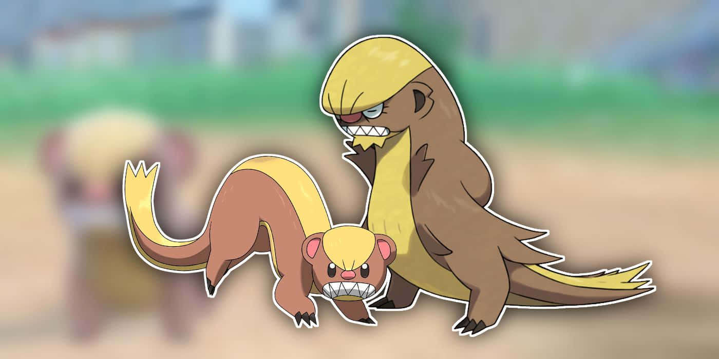 Pokémon Yungoos And Gumshoos In Blurry Backdrop Wallpaper