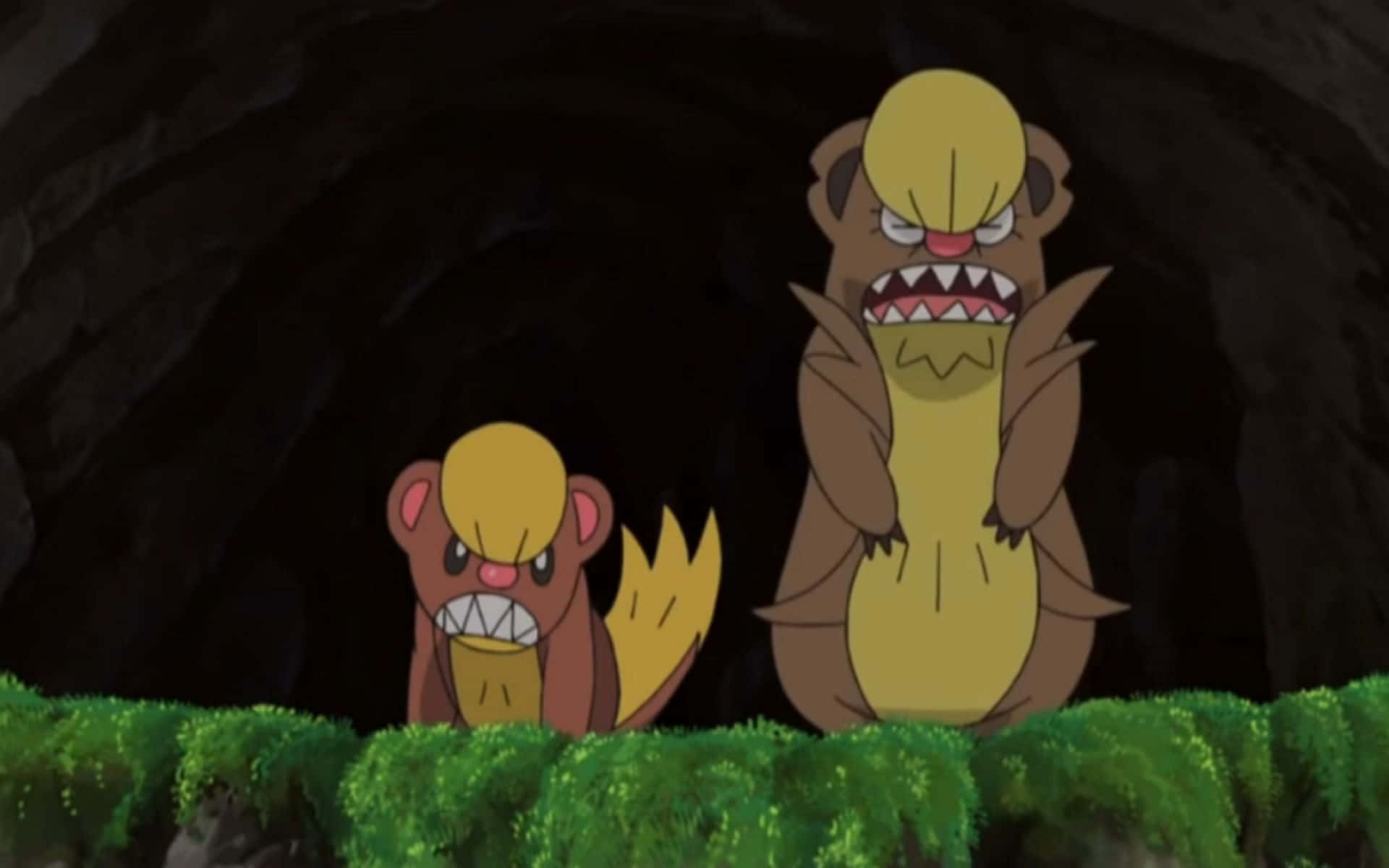 Pokémonyungoos Y Gumshoos En La Cueva Fondo de pantalla