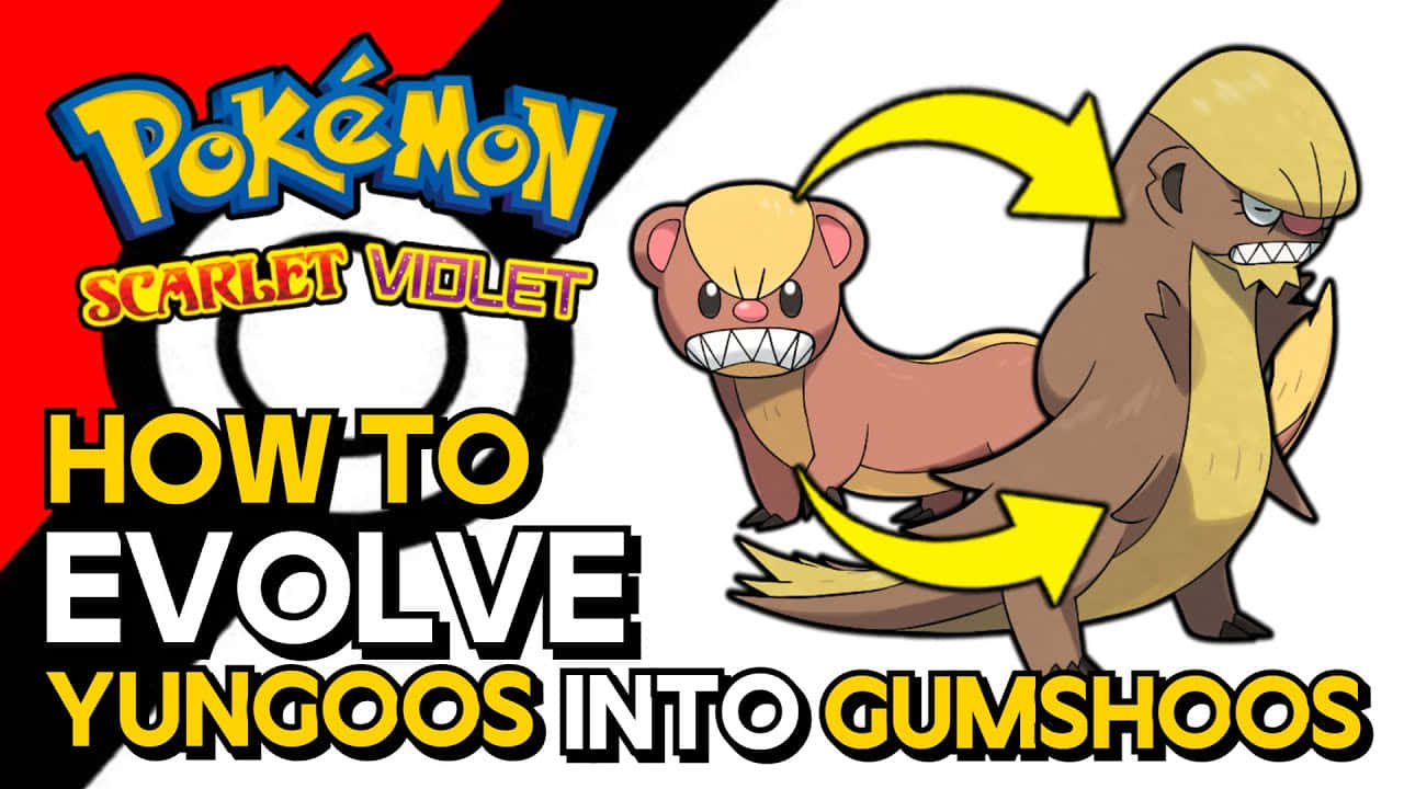 Pokémon Yungoos Evolution Poster Wallpaper