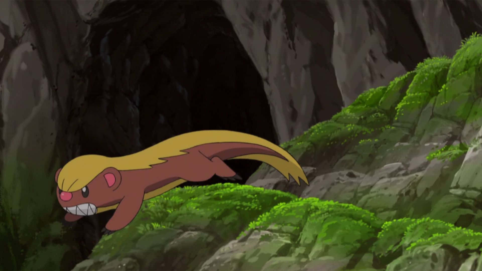 Pokémon Yungoos In Cave Entrance Wallpaper