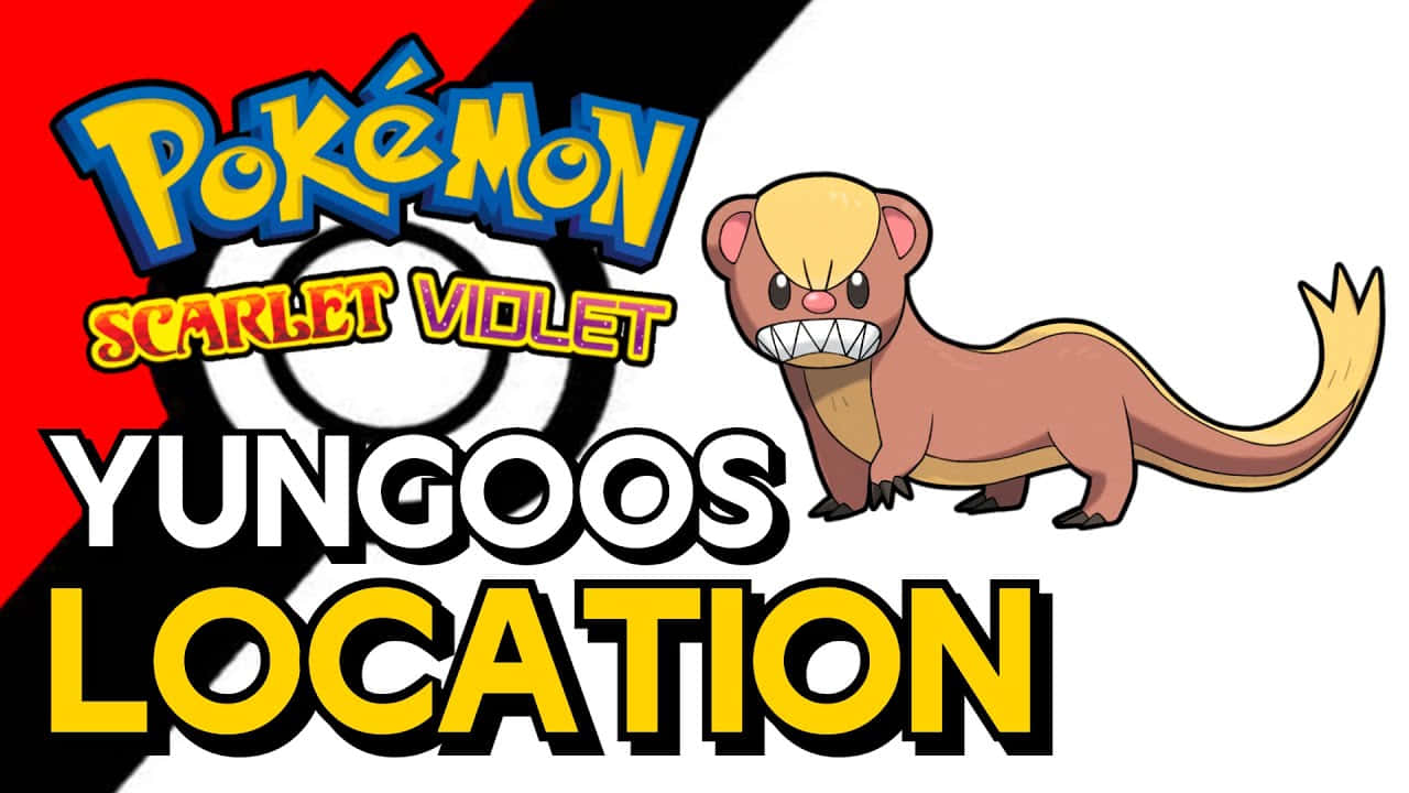 Pokémon Yungoos Location Poster Wallpaper
