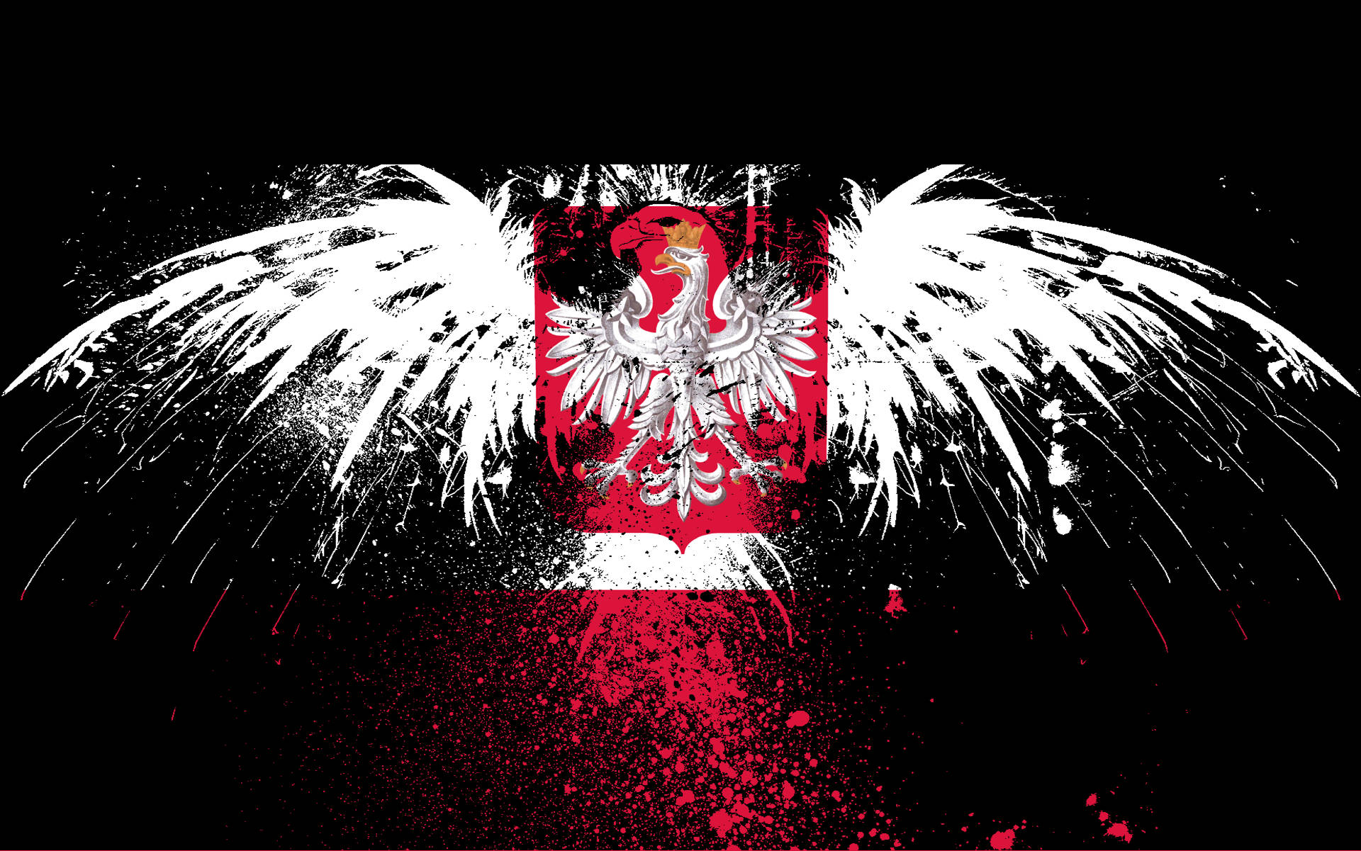 Polensflagga Örn Wallpaper