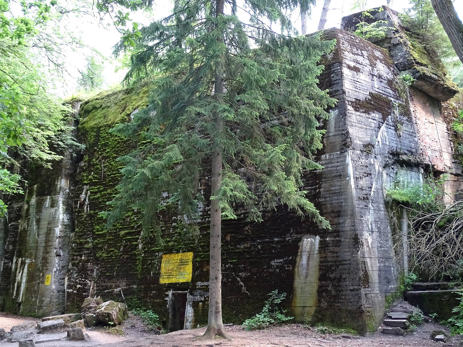Det Polske Ulvehytte Historiske Ruiner i tapet Wallpaper