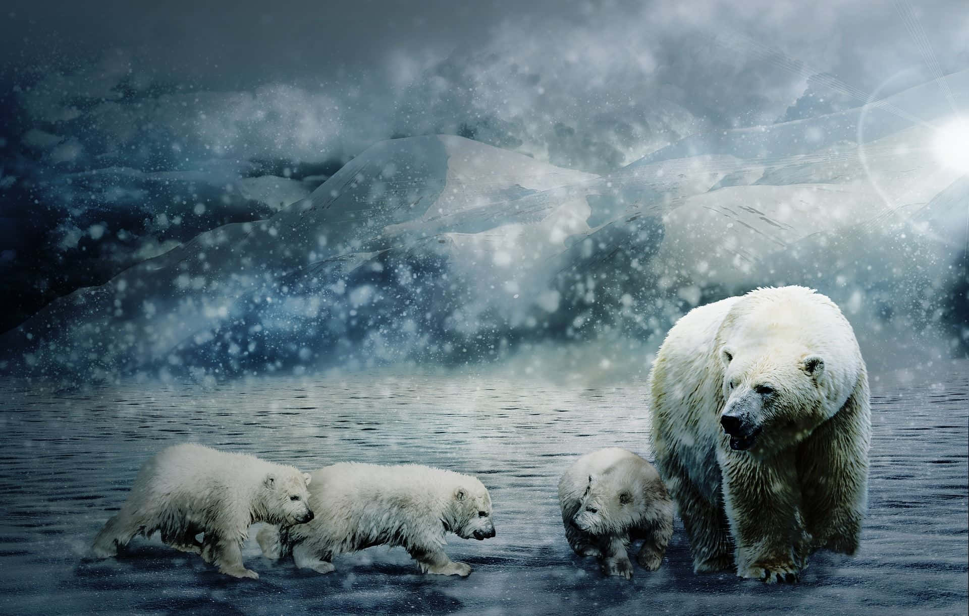A majestic polar bear strolling across the icy tundra