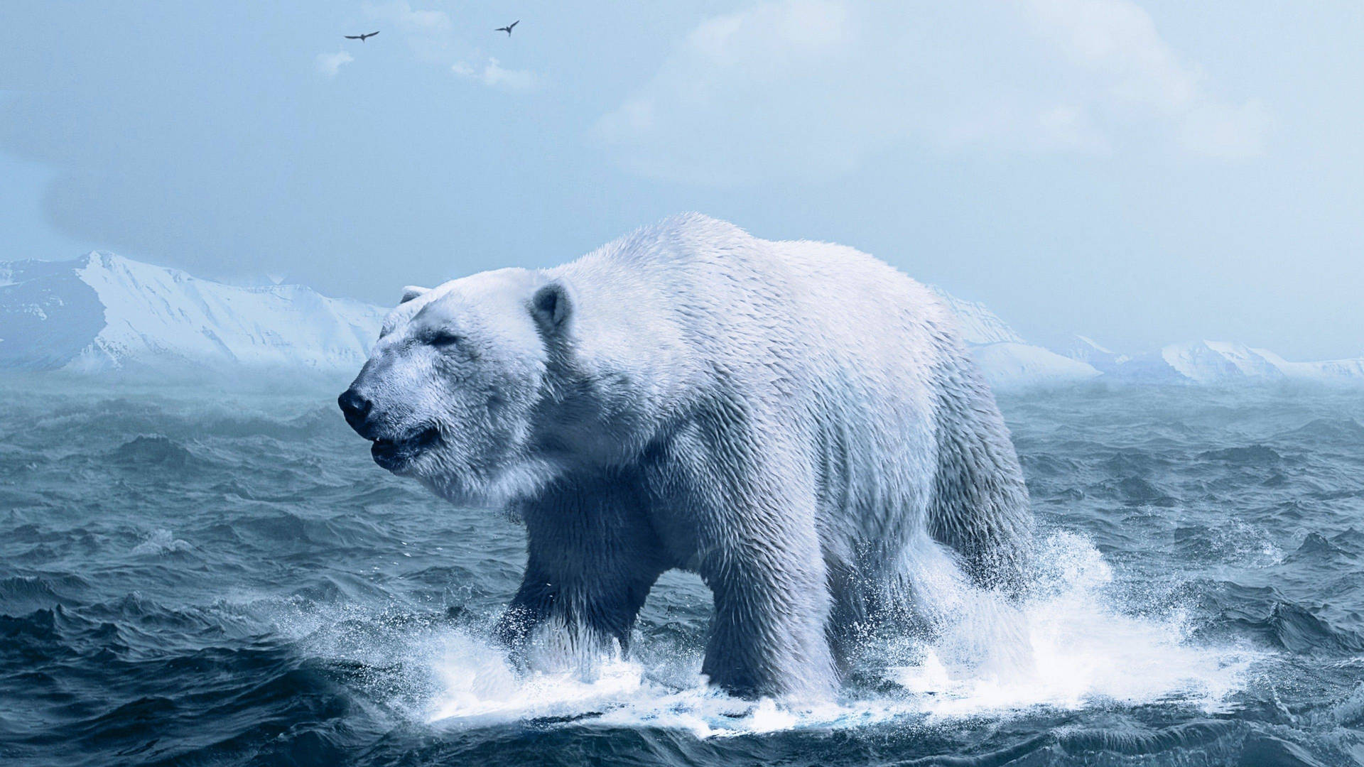 Polar Bear In Arctic Ocean Wallpaper