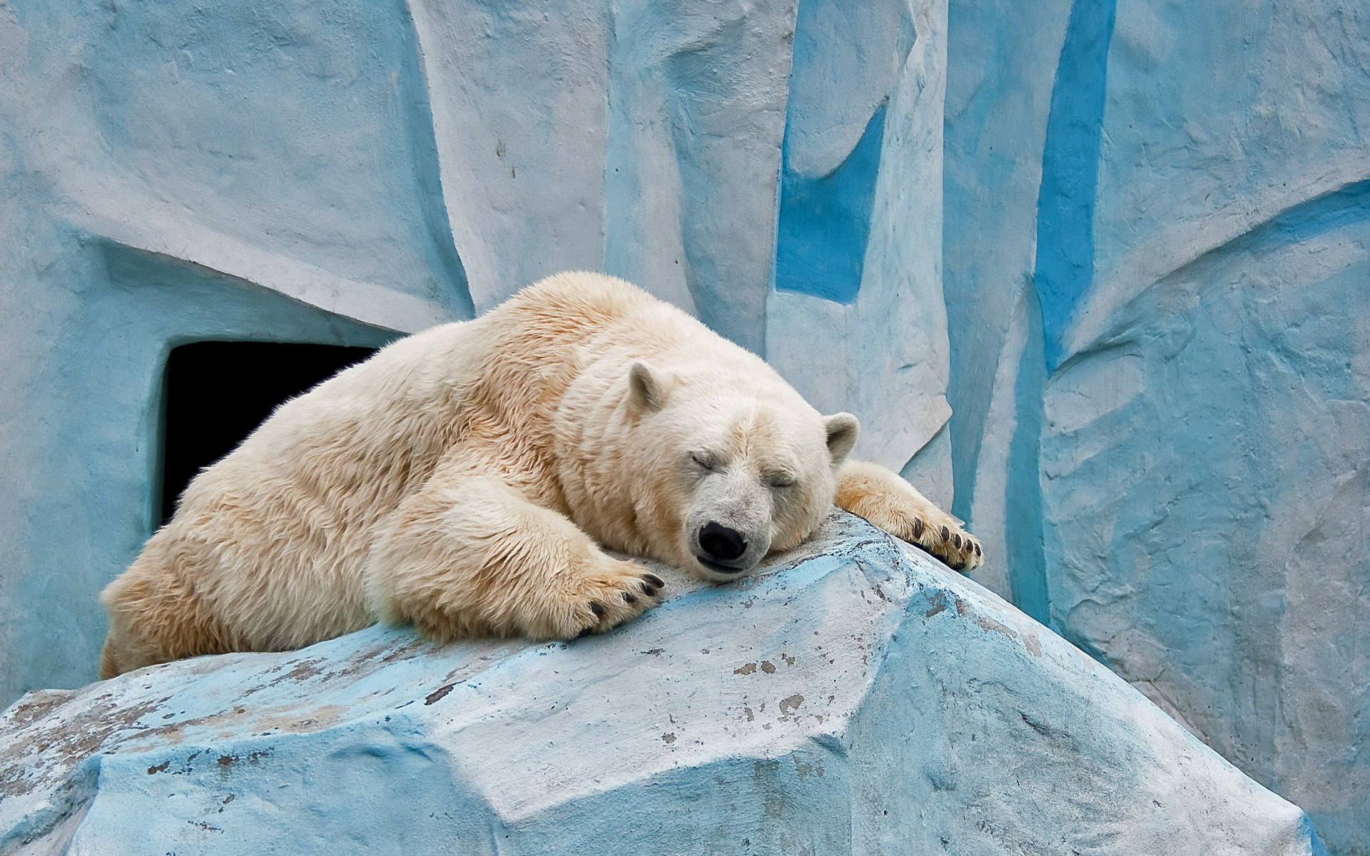 Polar Bear On Icy Rock Wallpaper