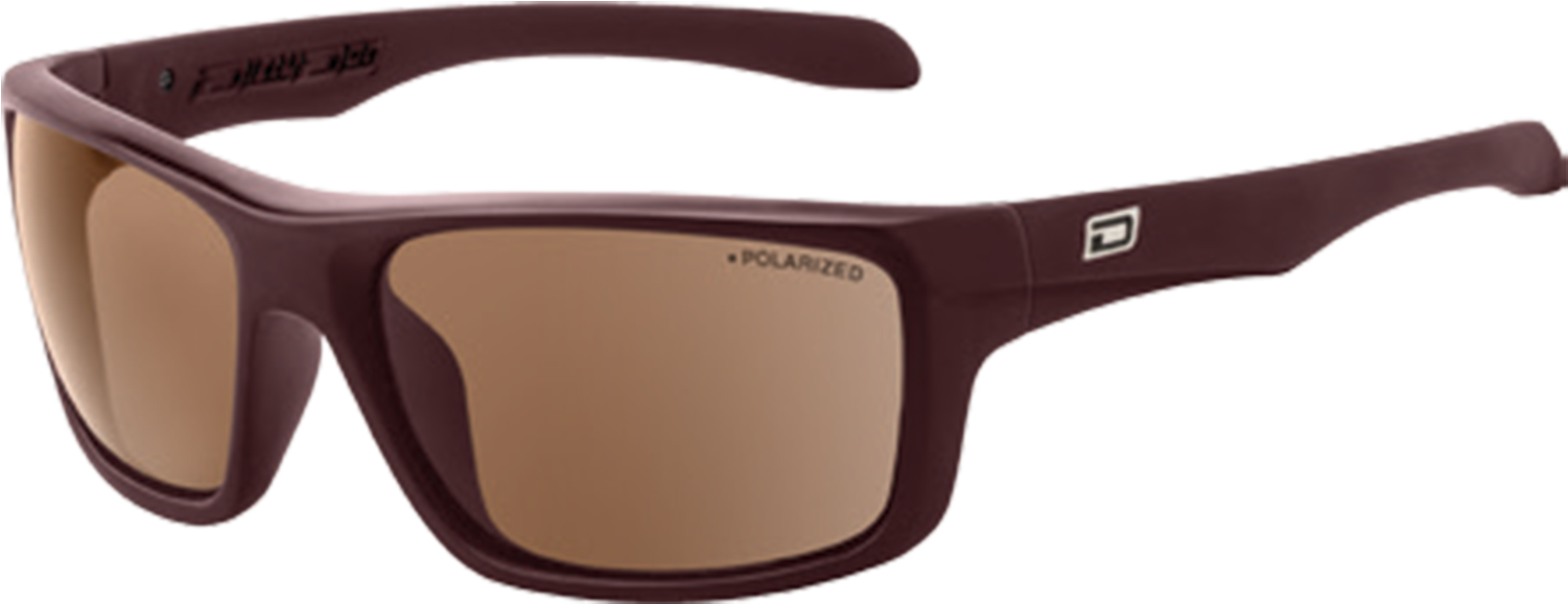 Polarized Sunglasses Brown Frame PNG