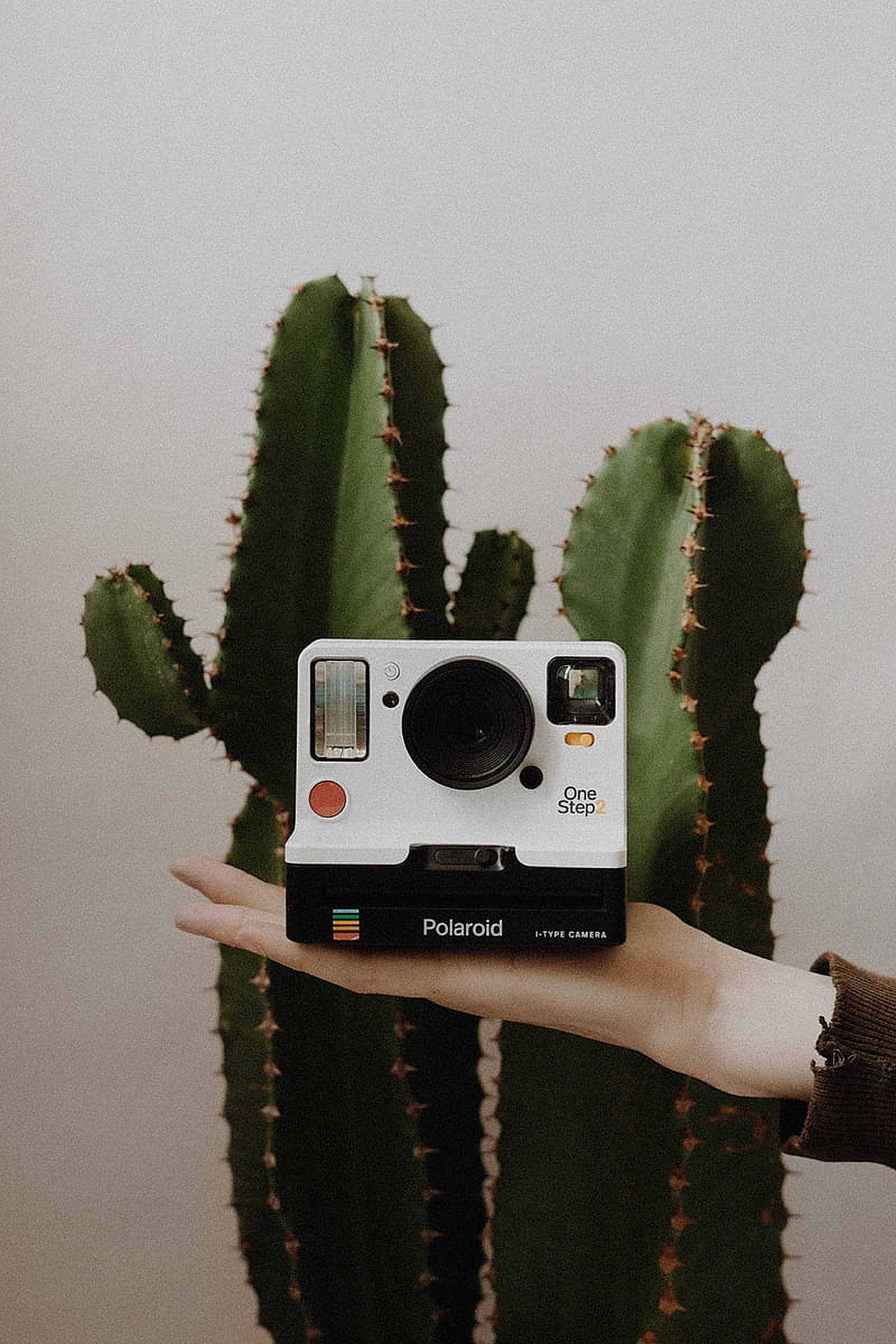 Polaroid Camera Cactus Picture