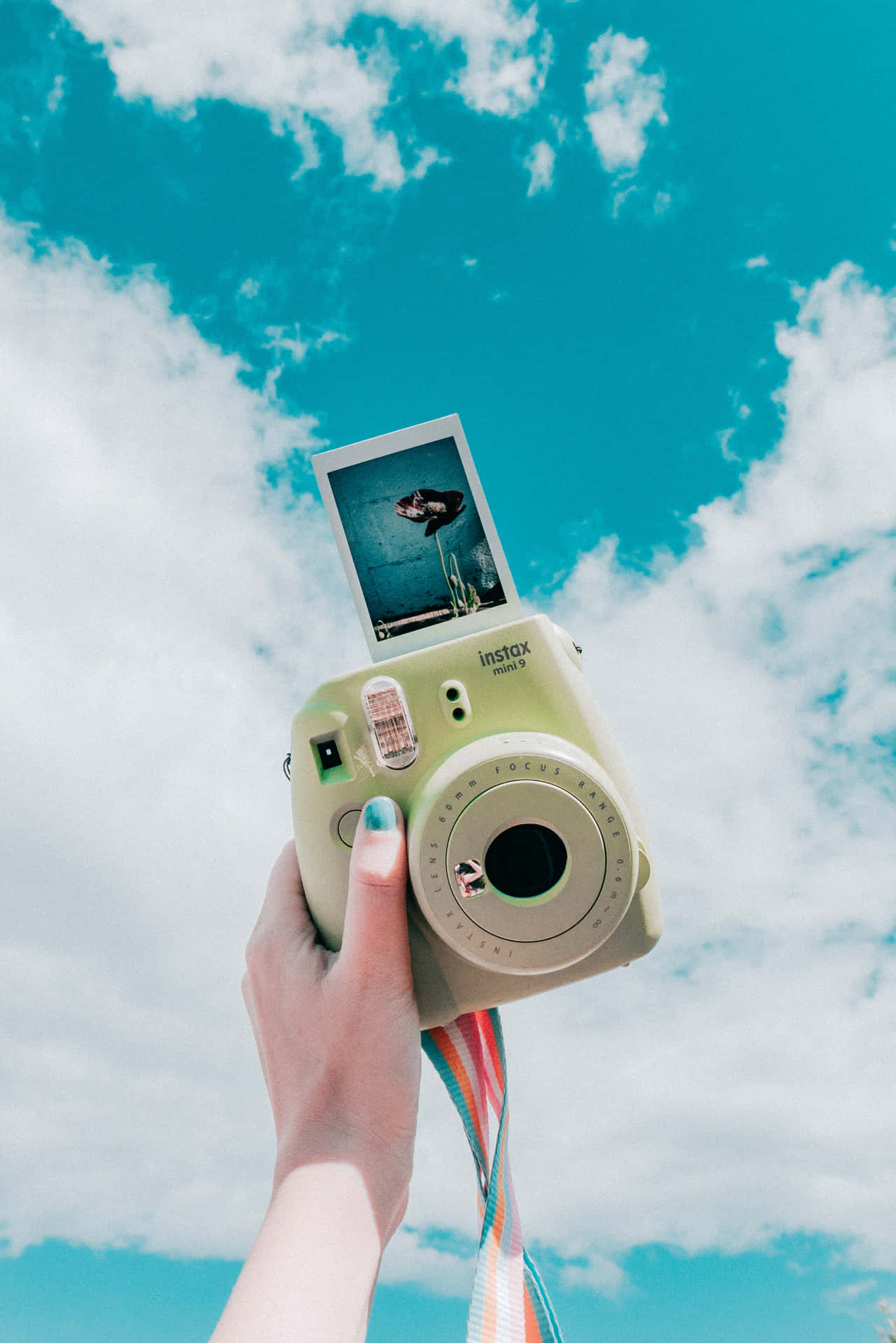 Selvportræt Polaroidkamera Billeder Tapet