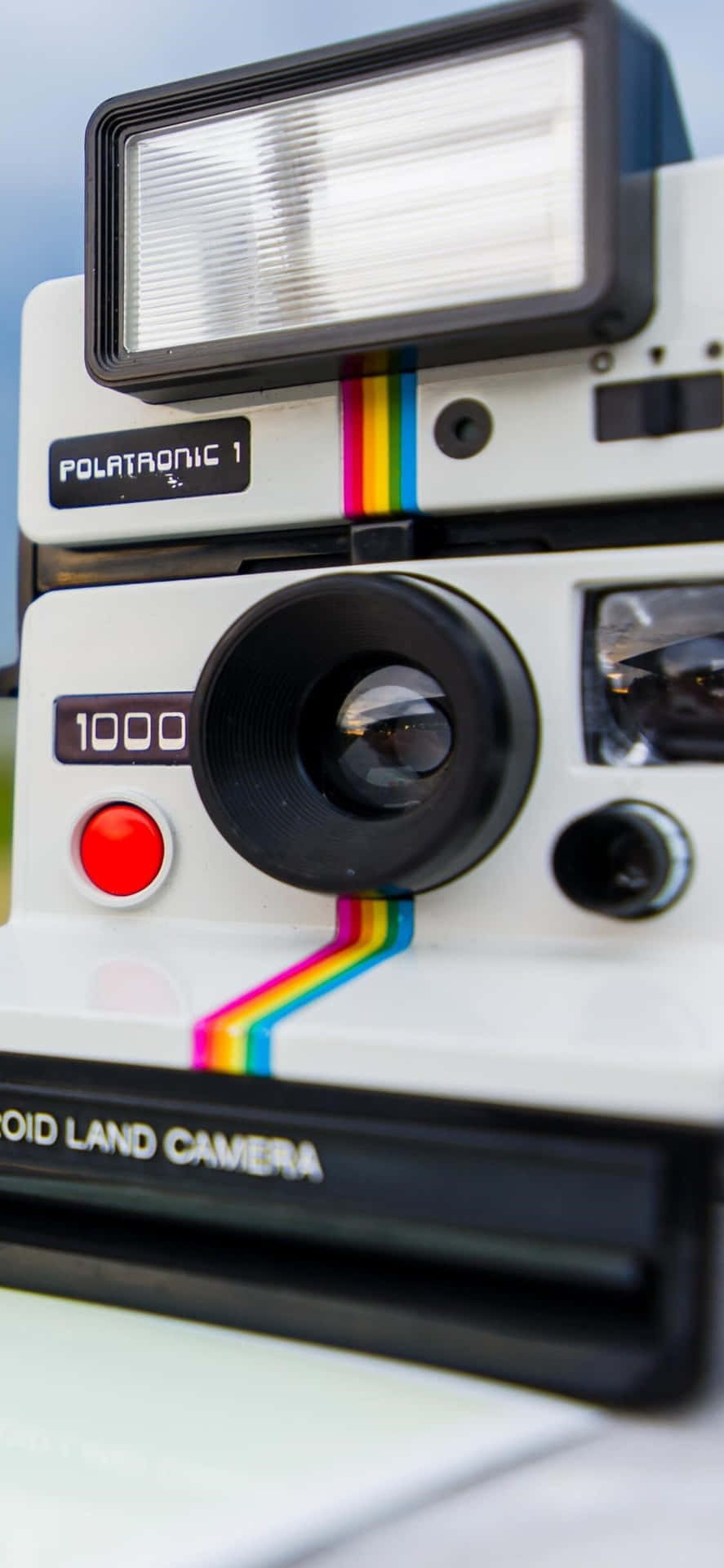 Polaroidcámara Land 1000 Imagen De Retrato