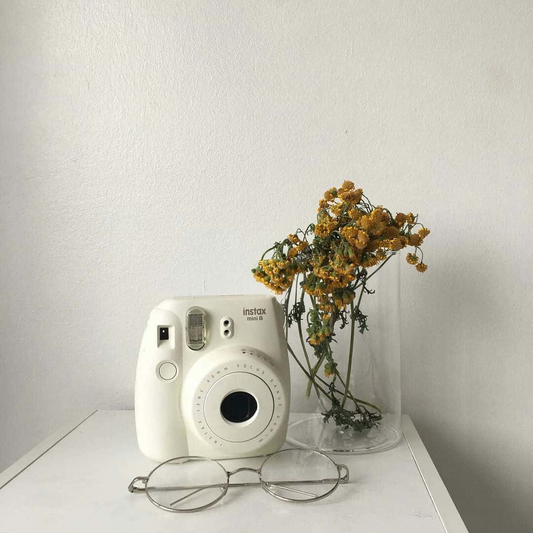 Intrigantefotocamera Vintage Polaroid