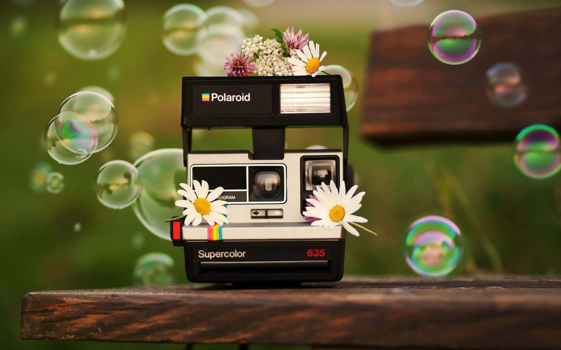 Polaroid Kamera Med Bobler Og Blomster Billede Tapet