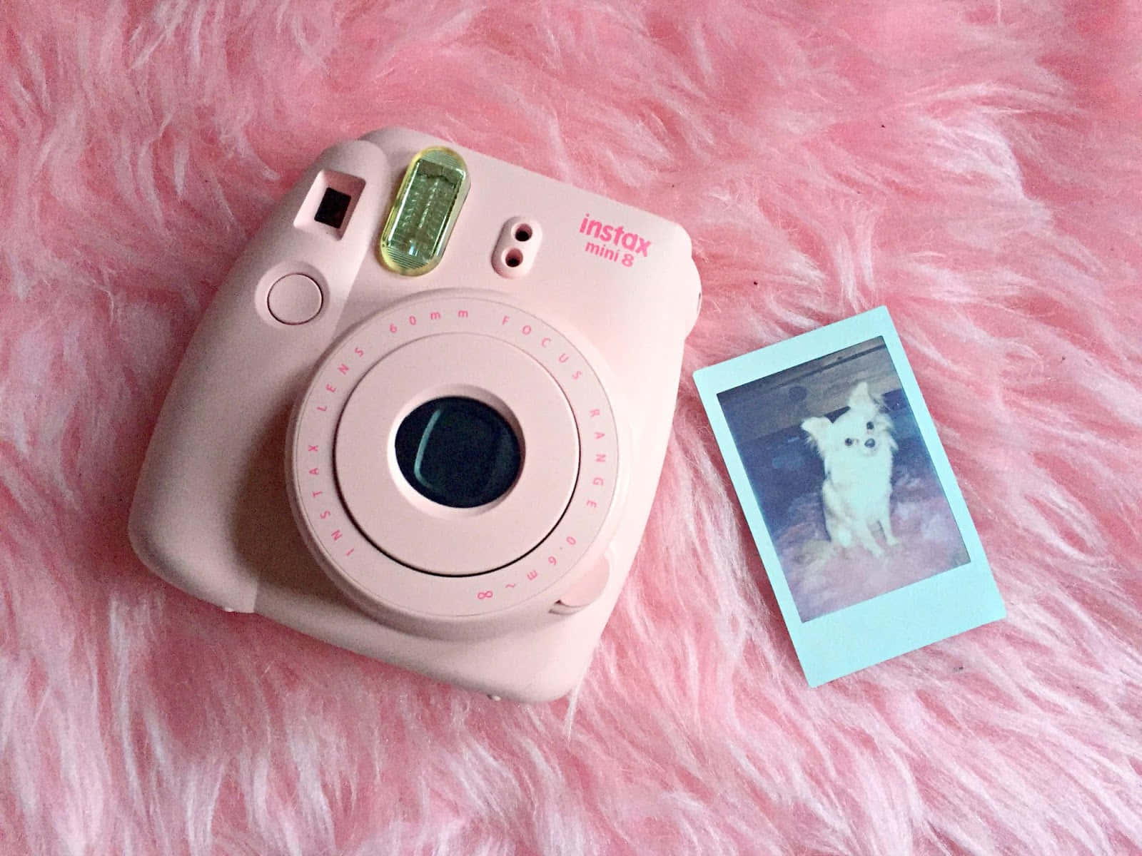 Polaroid Kamera på Pink Plys Tæppe Billede Tapet