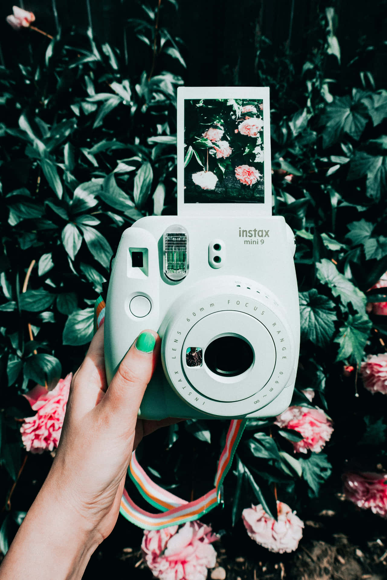 Instax Polaroid Camera In Garden Picture