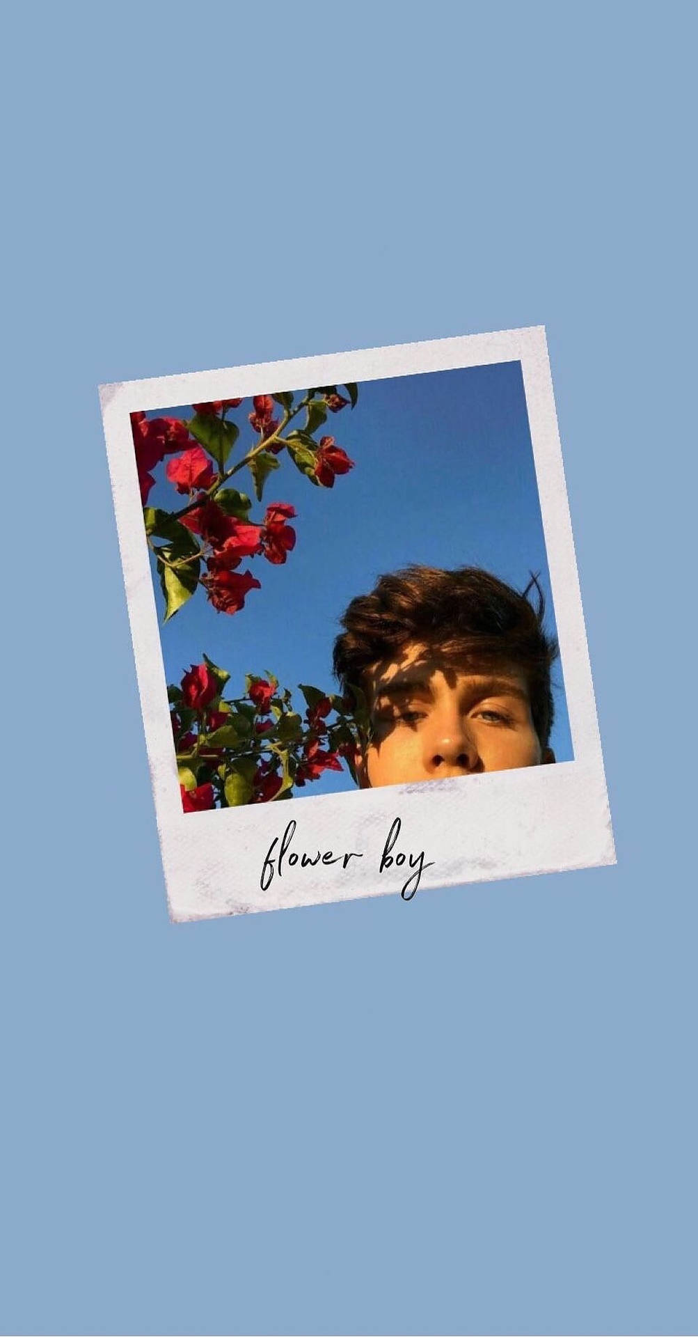 Polaroid Flower Boy Picture