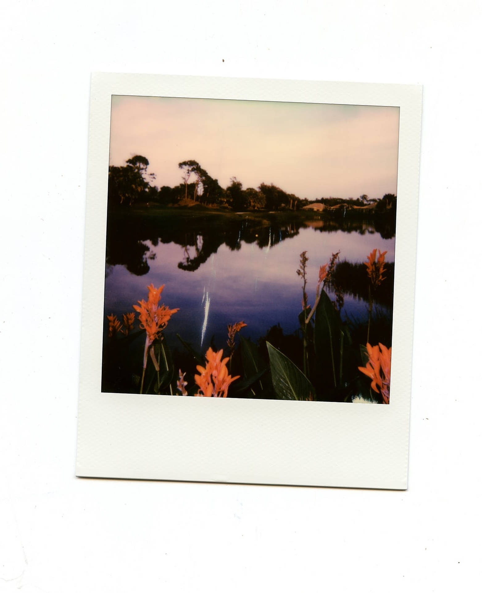 Polaroid Of A Lake Picture