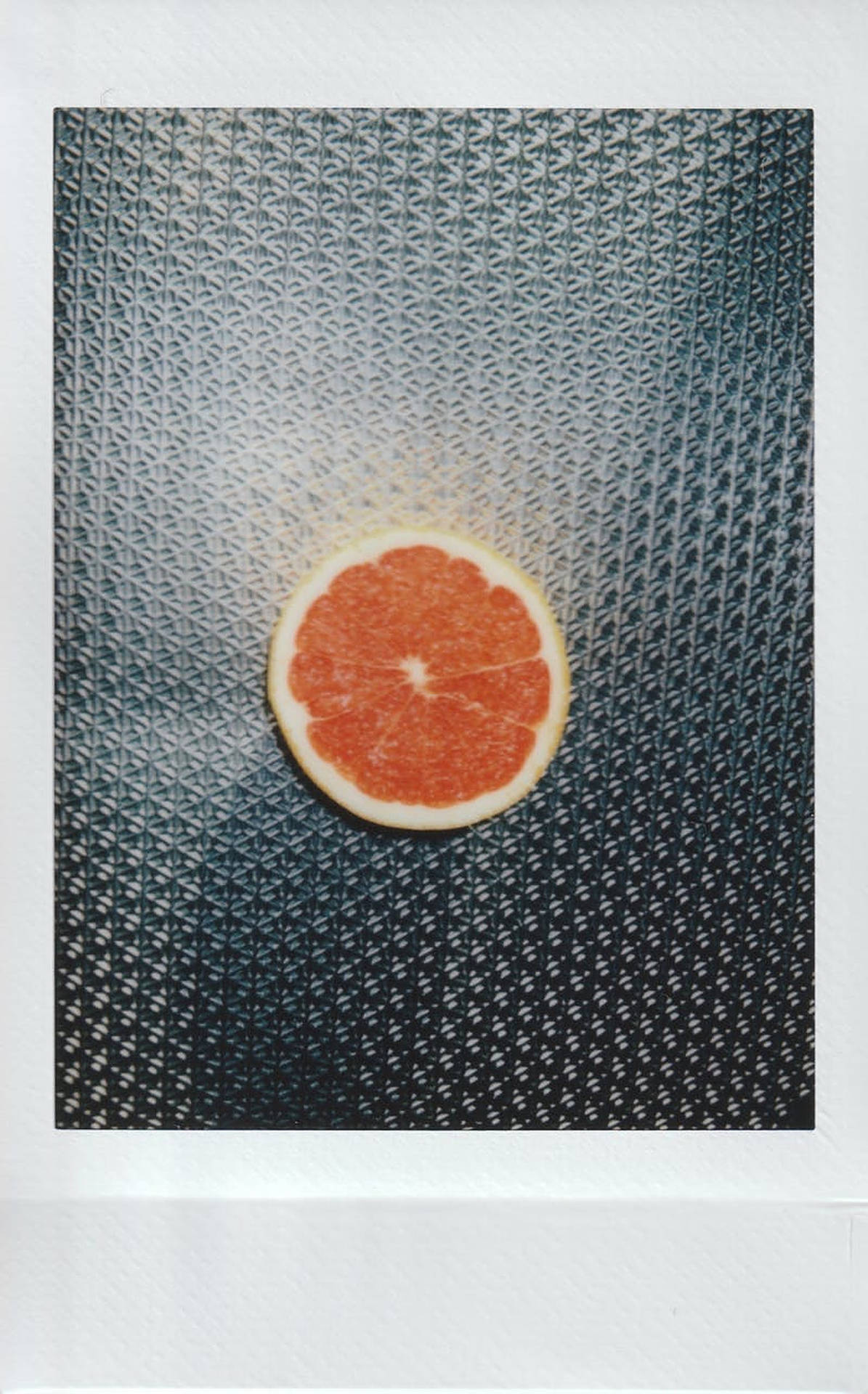 Polaroid Orange Slice Wallpaper