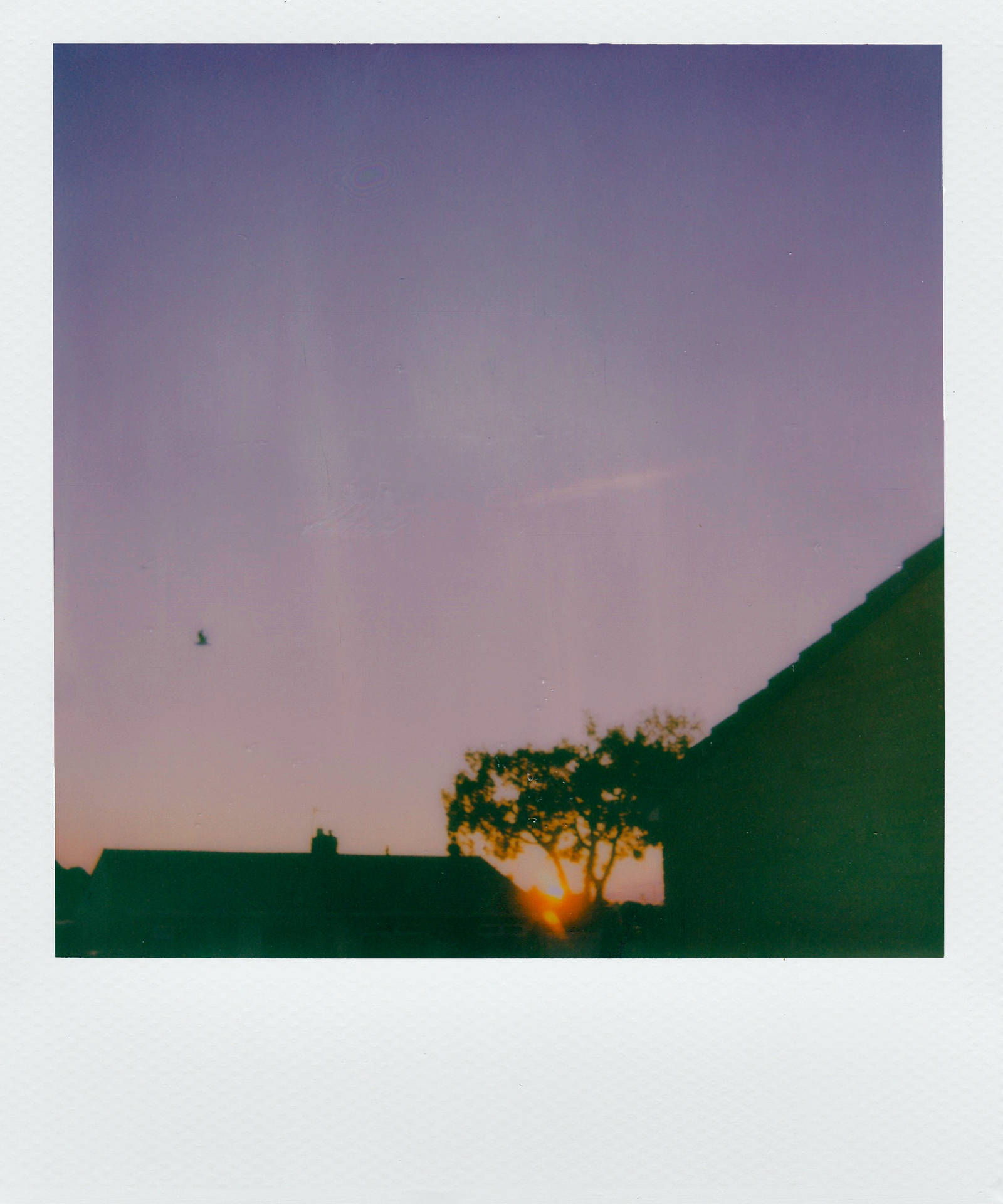 Polaroid Purple Sky
